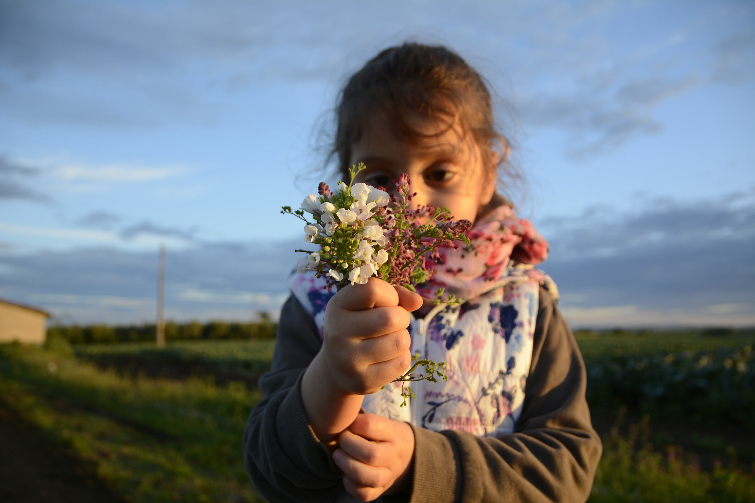 Spring can be simple