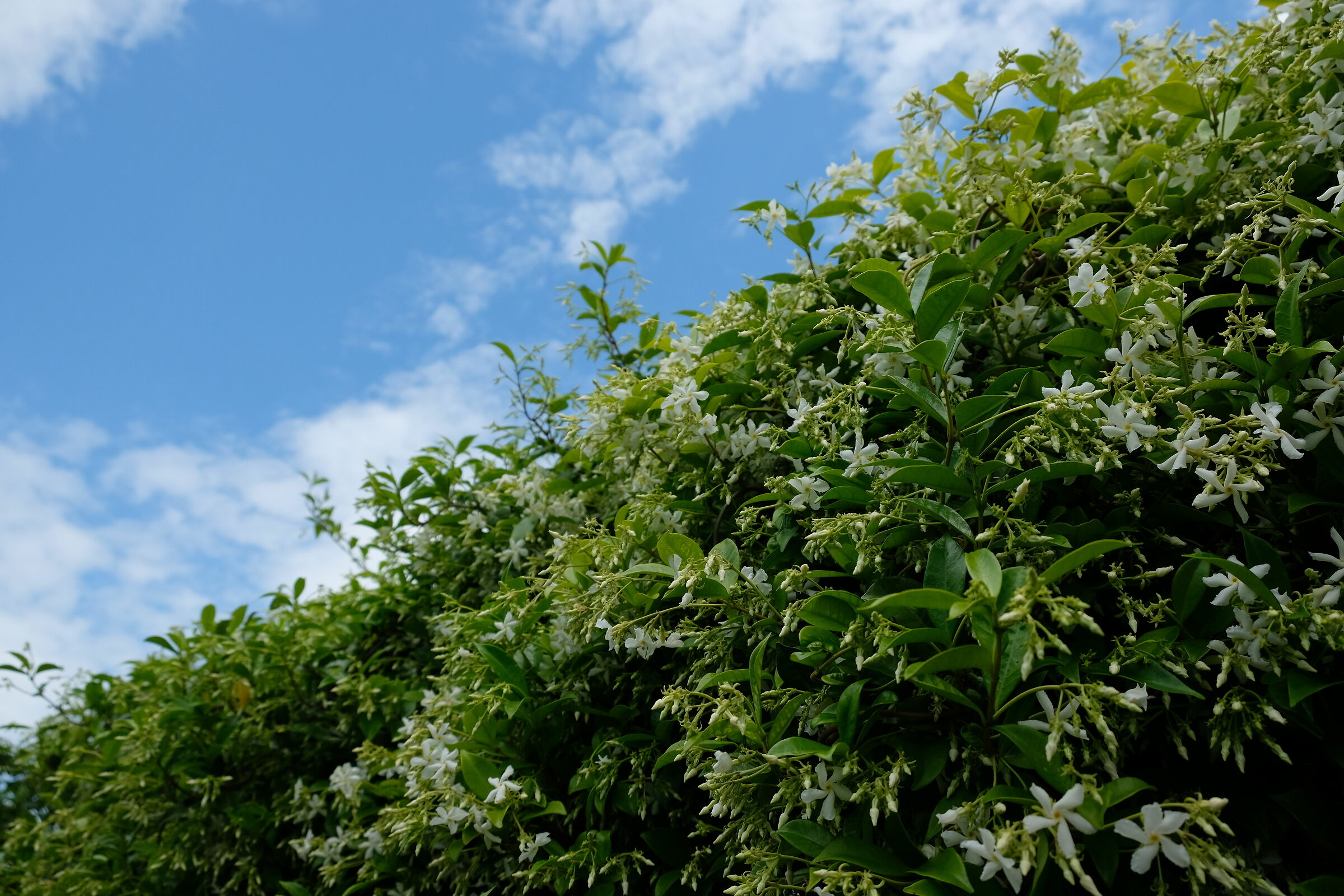 Between Heaven and earth