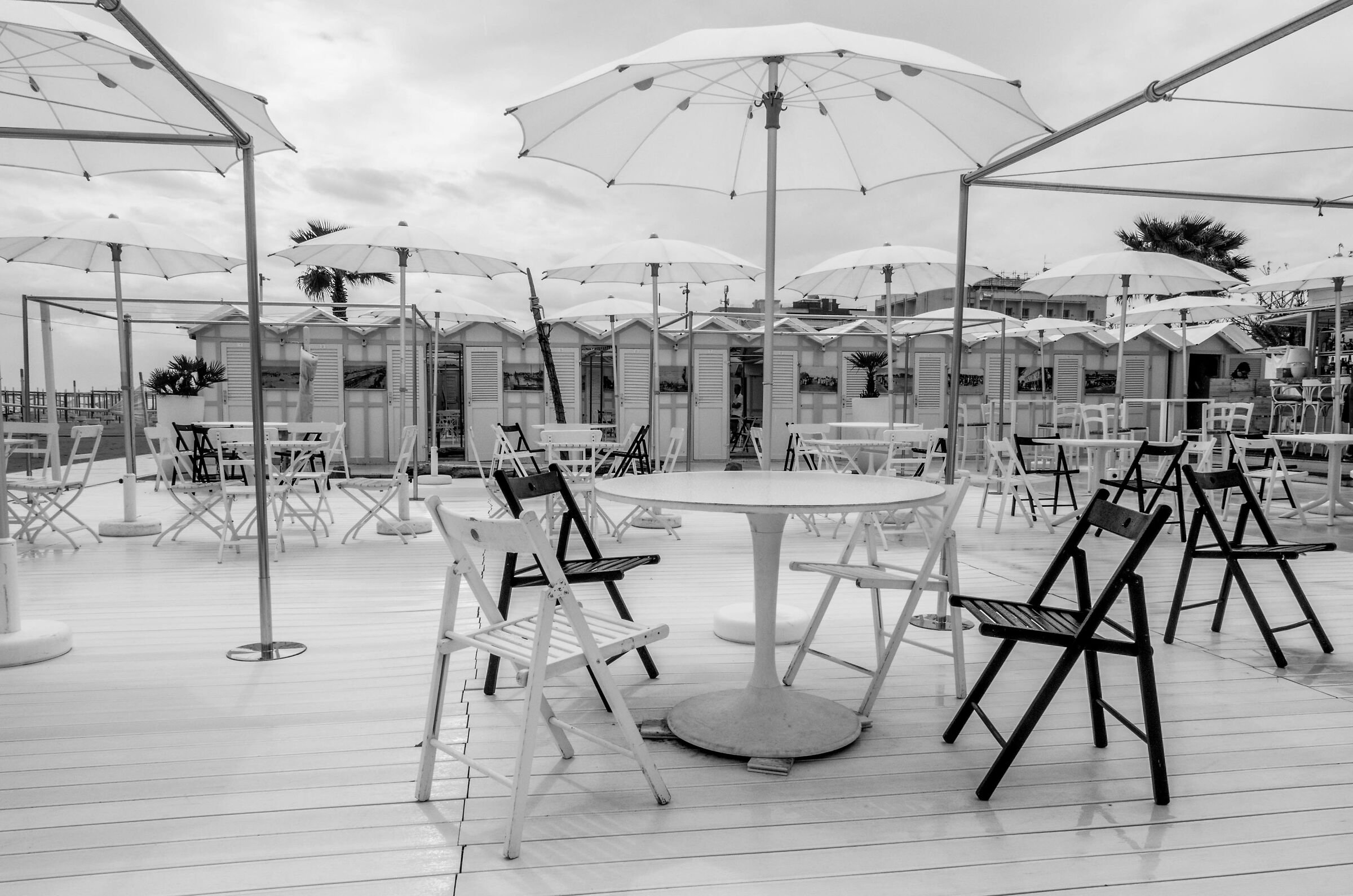 Black and white on the beach