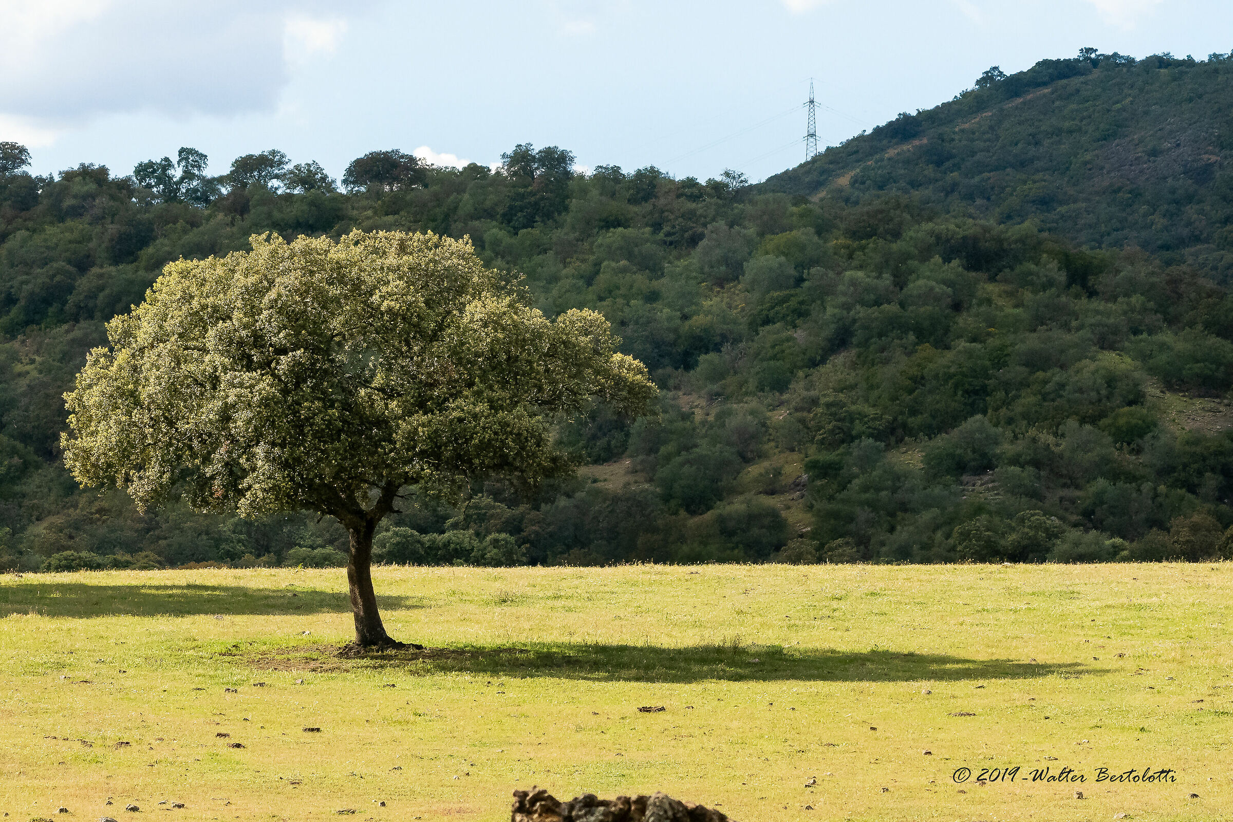 sotto il sole della Sierra