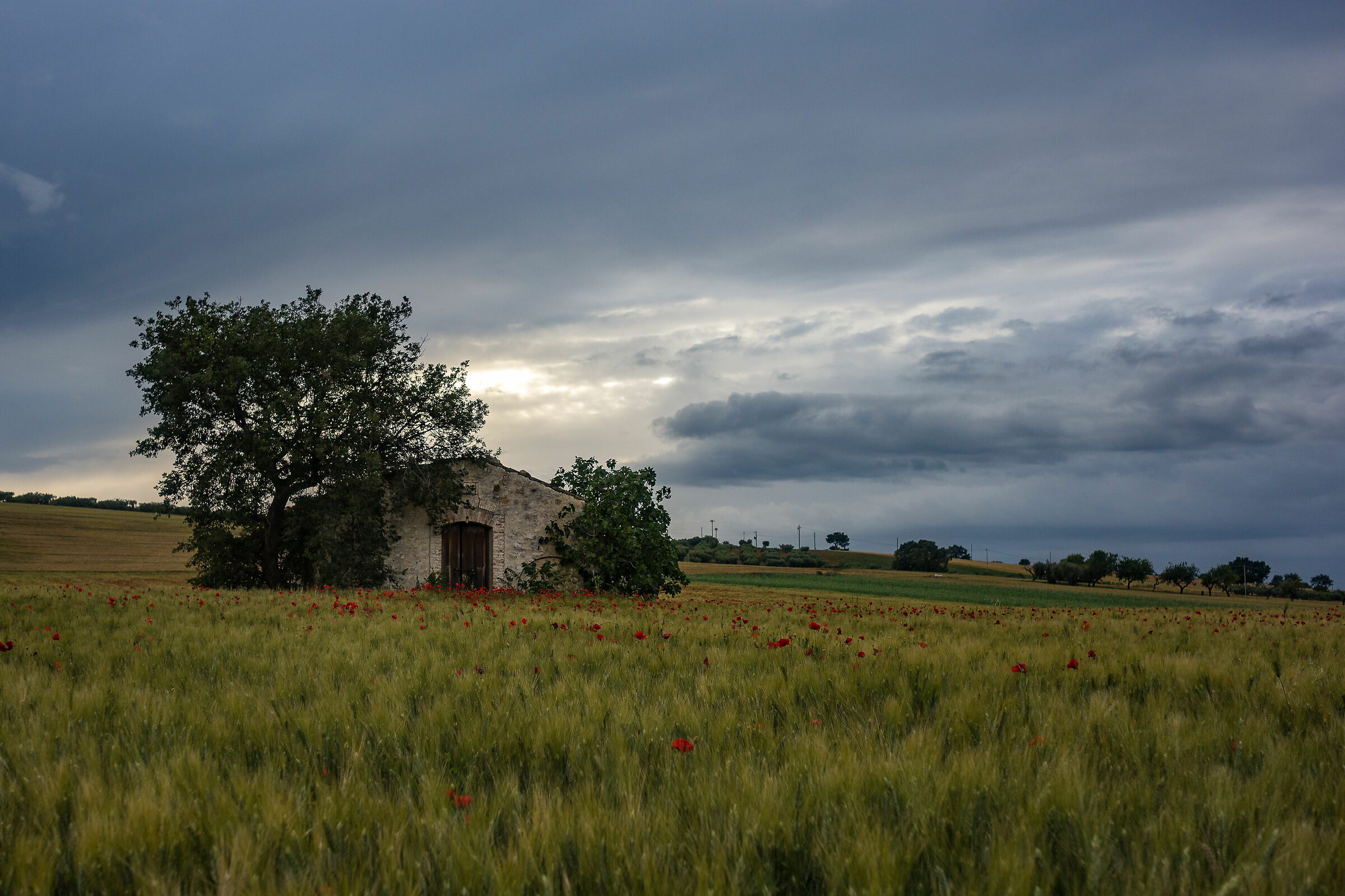 Masseria al tramonto
