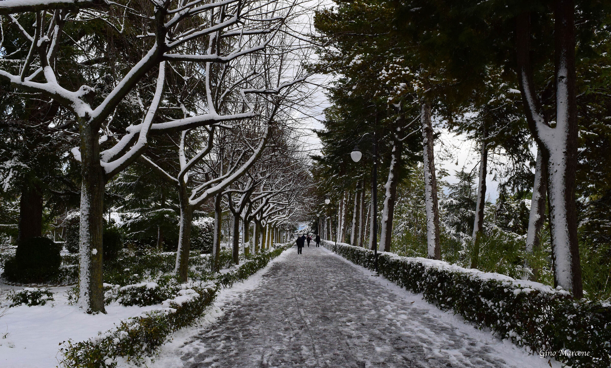 Passeggiata al parco