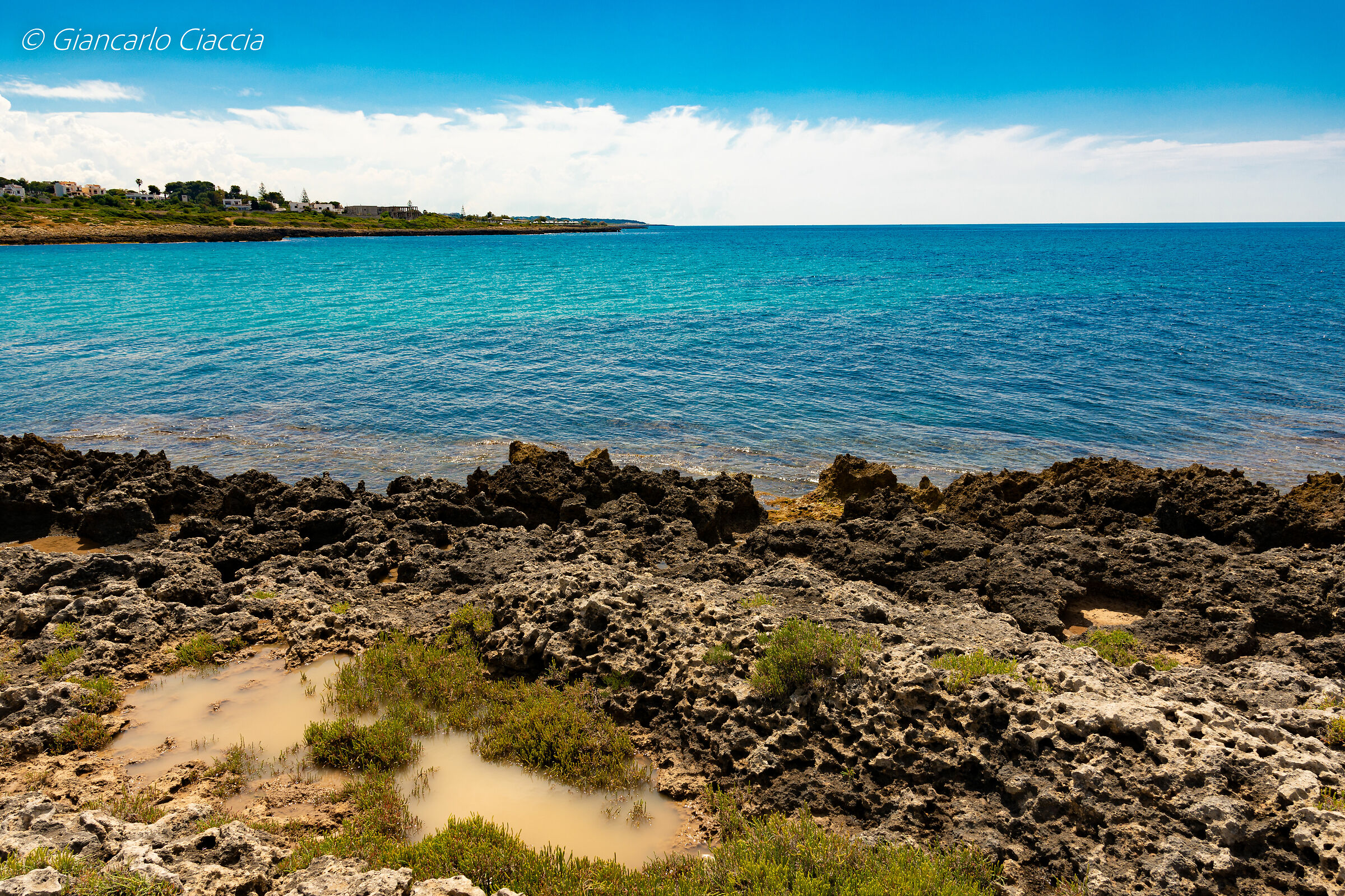 The colors of my land