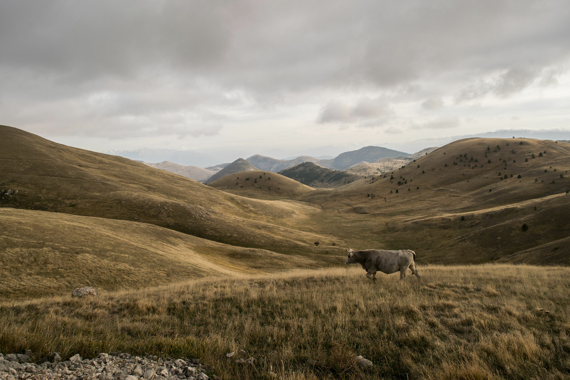 Small Tibet-Gran Sasso-Tribute to Segantini