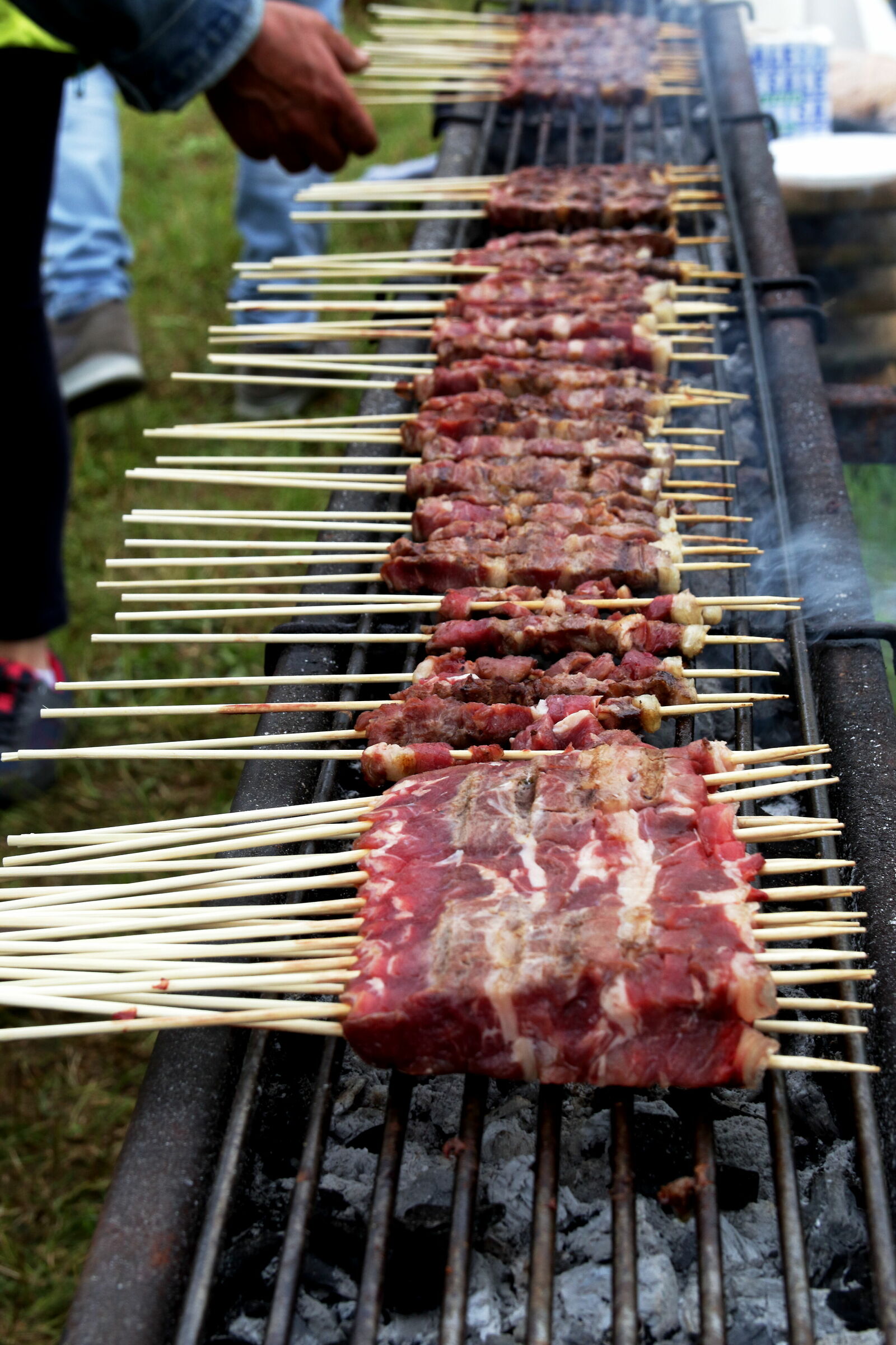 il destino di una pecora