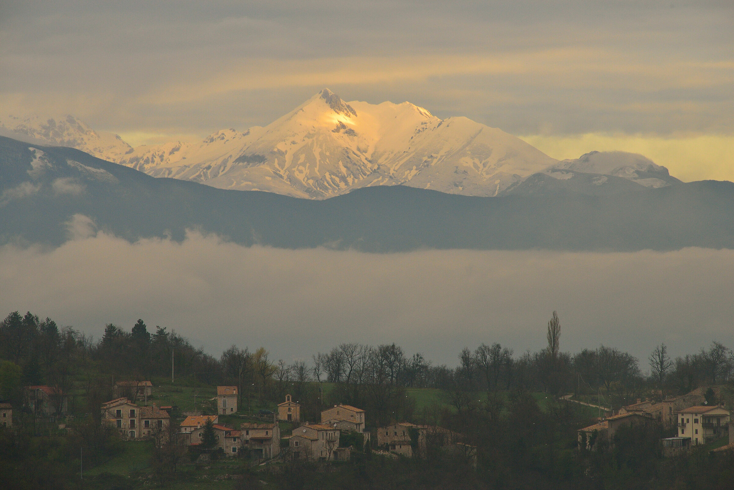Decontra di Caramanico, Monte shirt