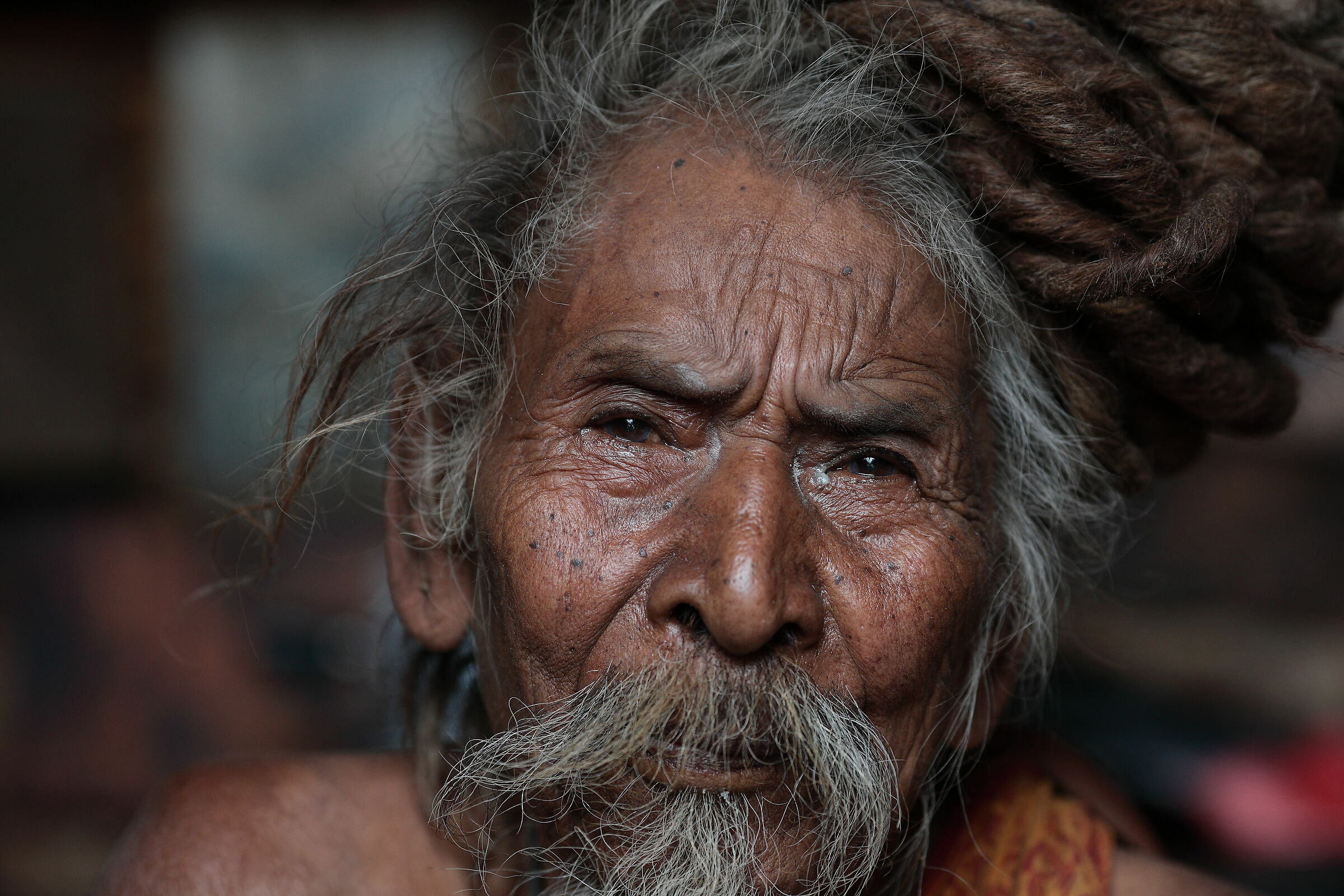 Ritratto di Sadhu, Tempio di Pashupatinath, Nepal