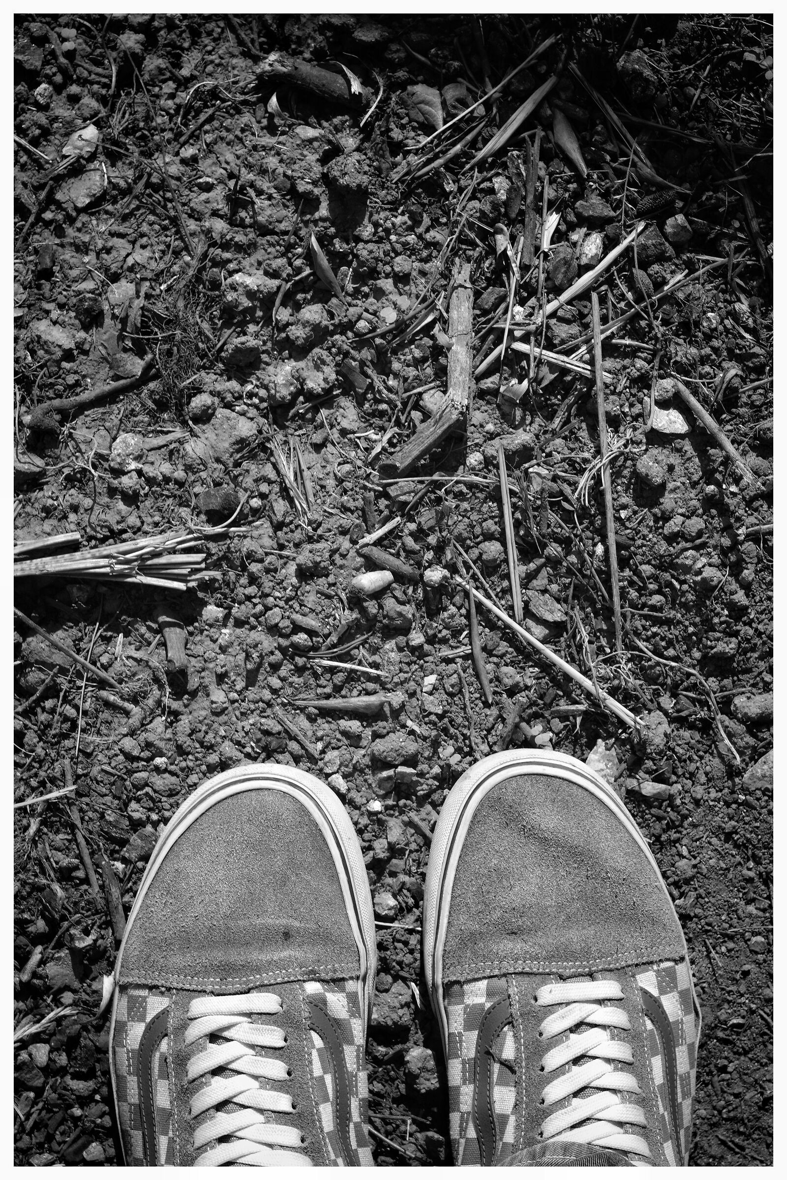 Il paradiso è sotto i nostri piedi...