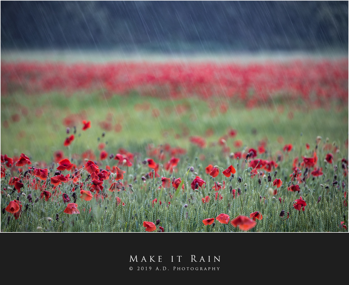 Make it Rain
