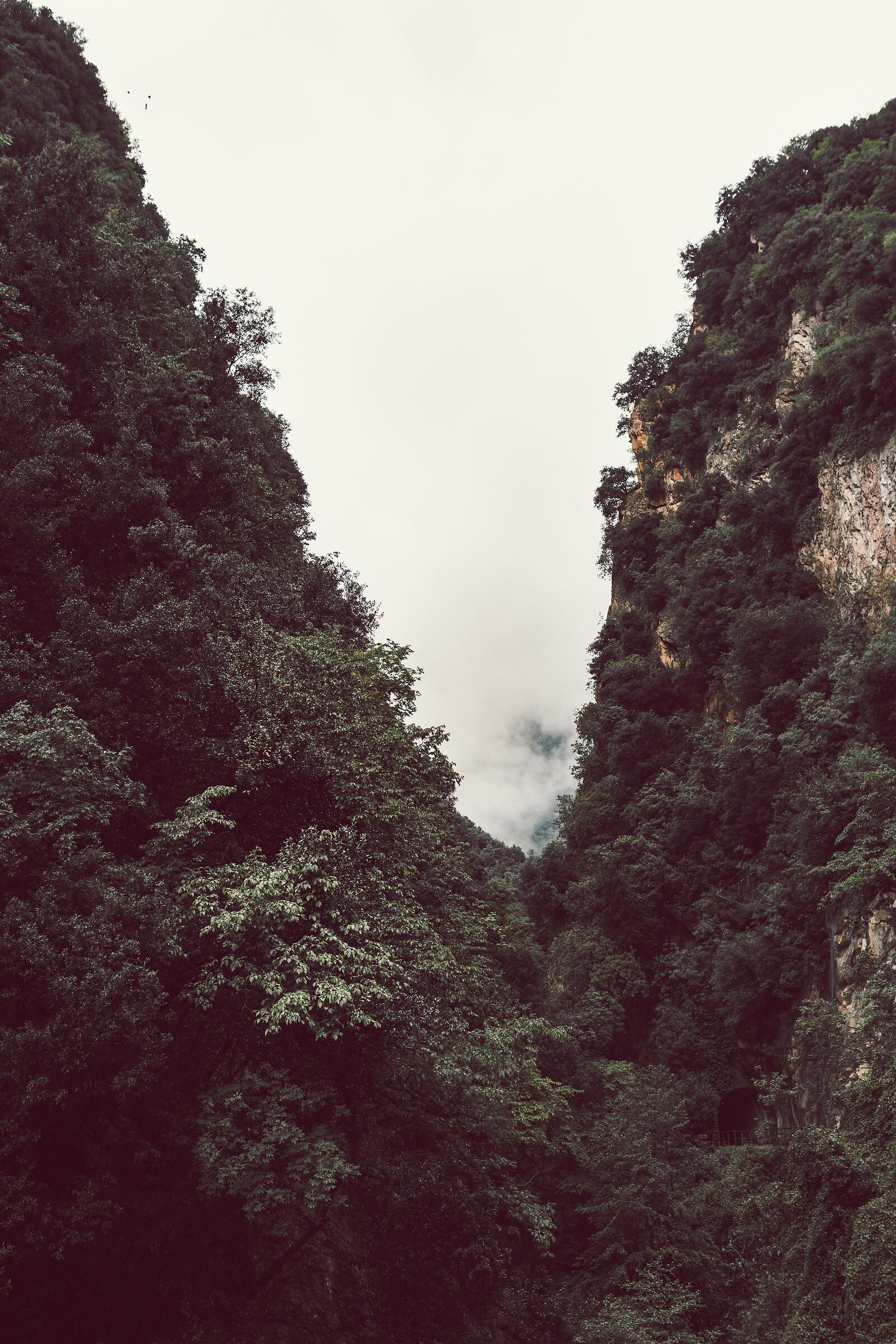 Valley of the Cartiere