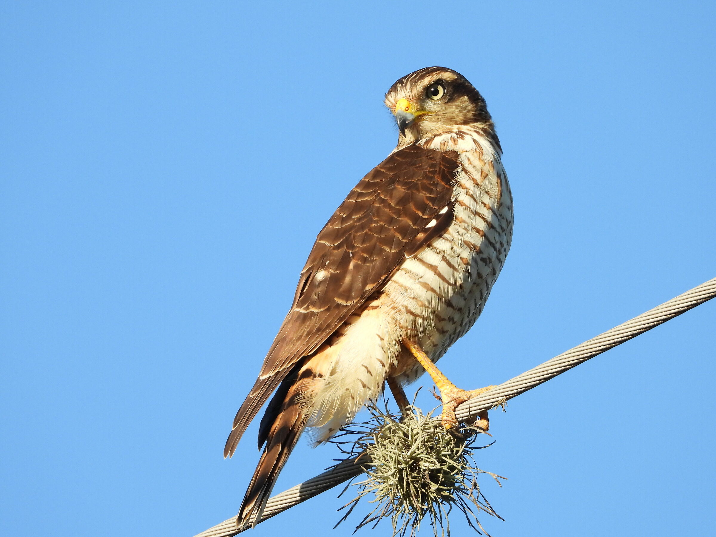 Cuidando la Ruta de la Almona-Jujuy-Argentina