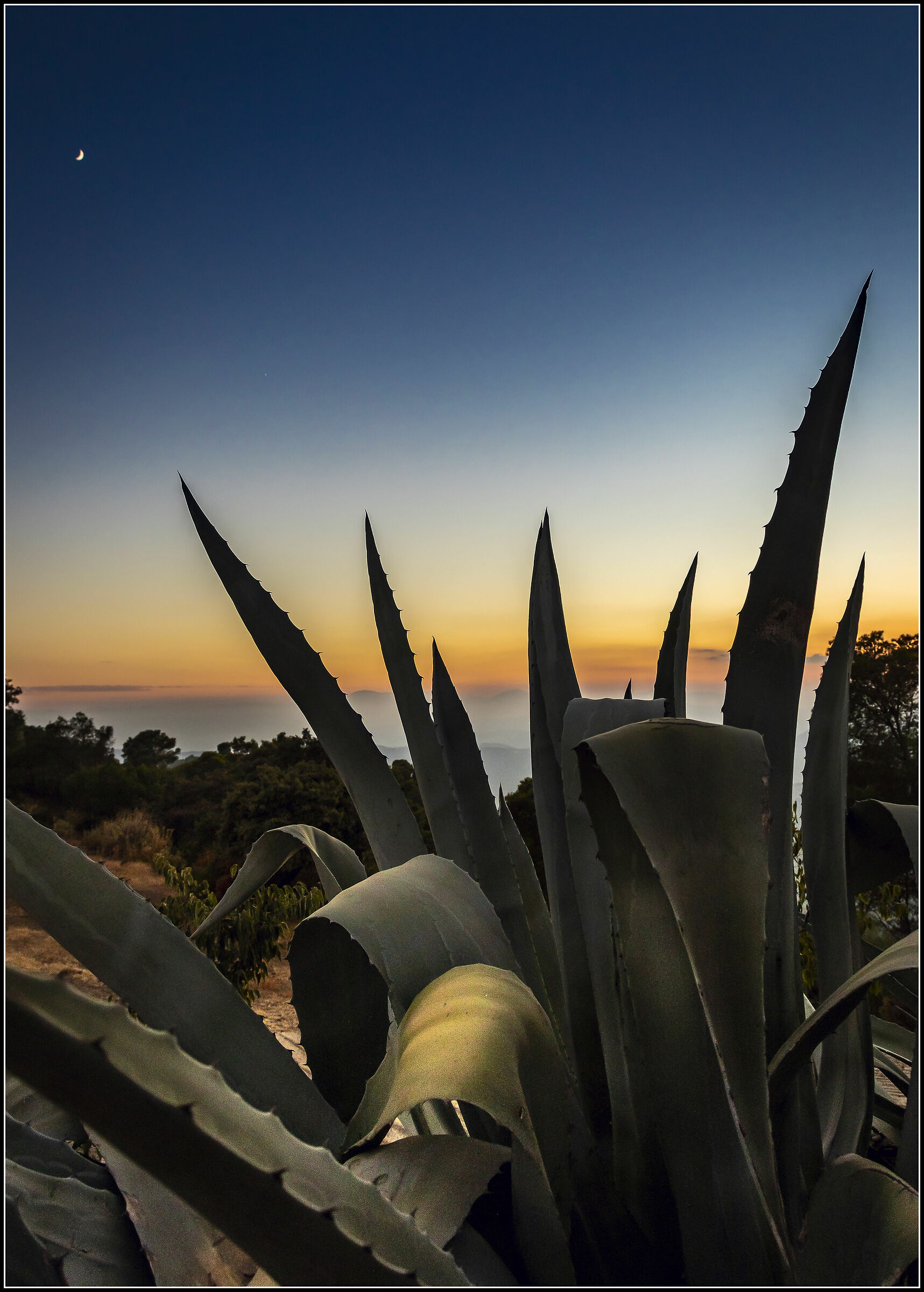 Road A-700, Malaga, Spain 2018