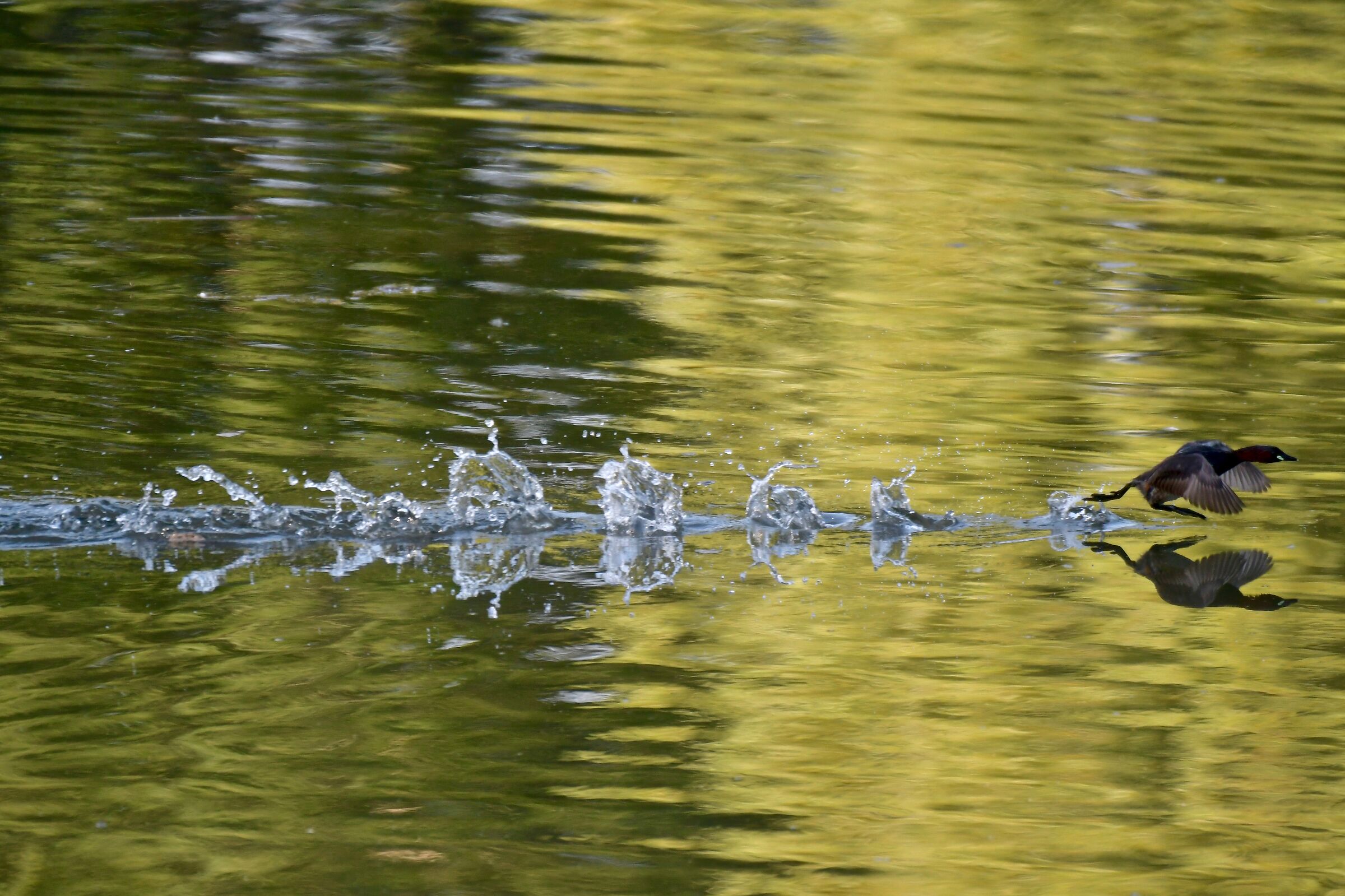 A picture that is worth the day