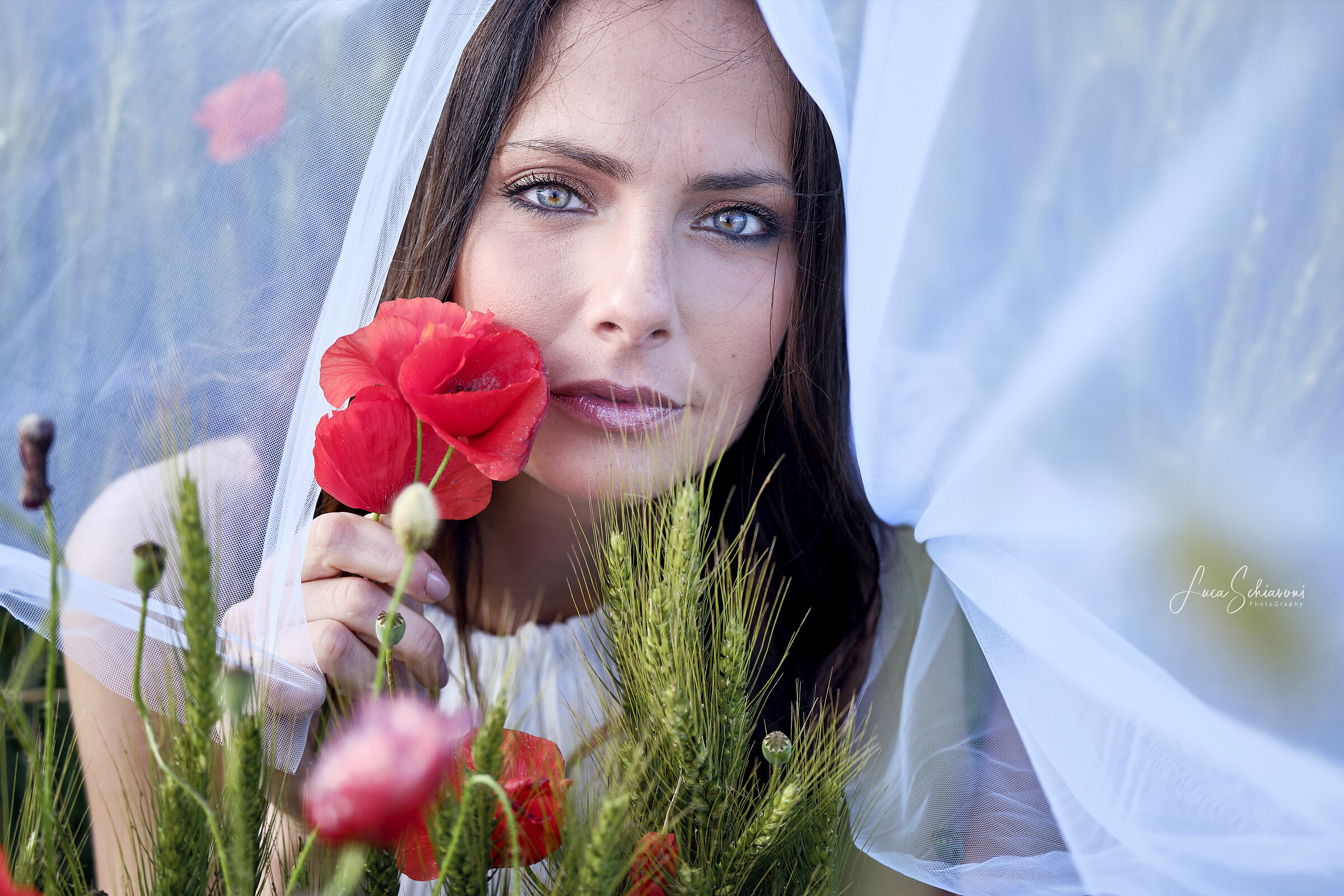 Primavera Velata