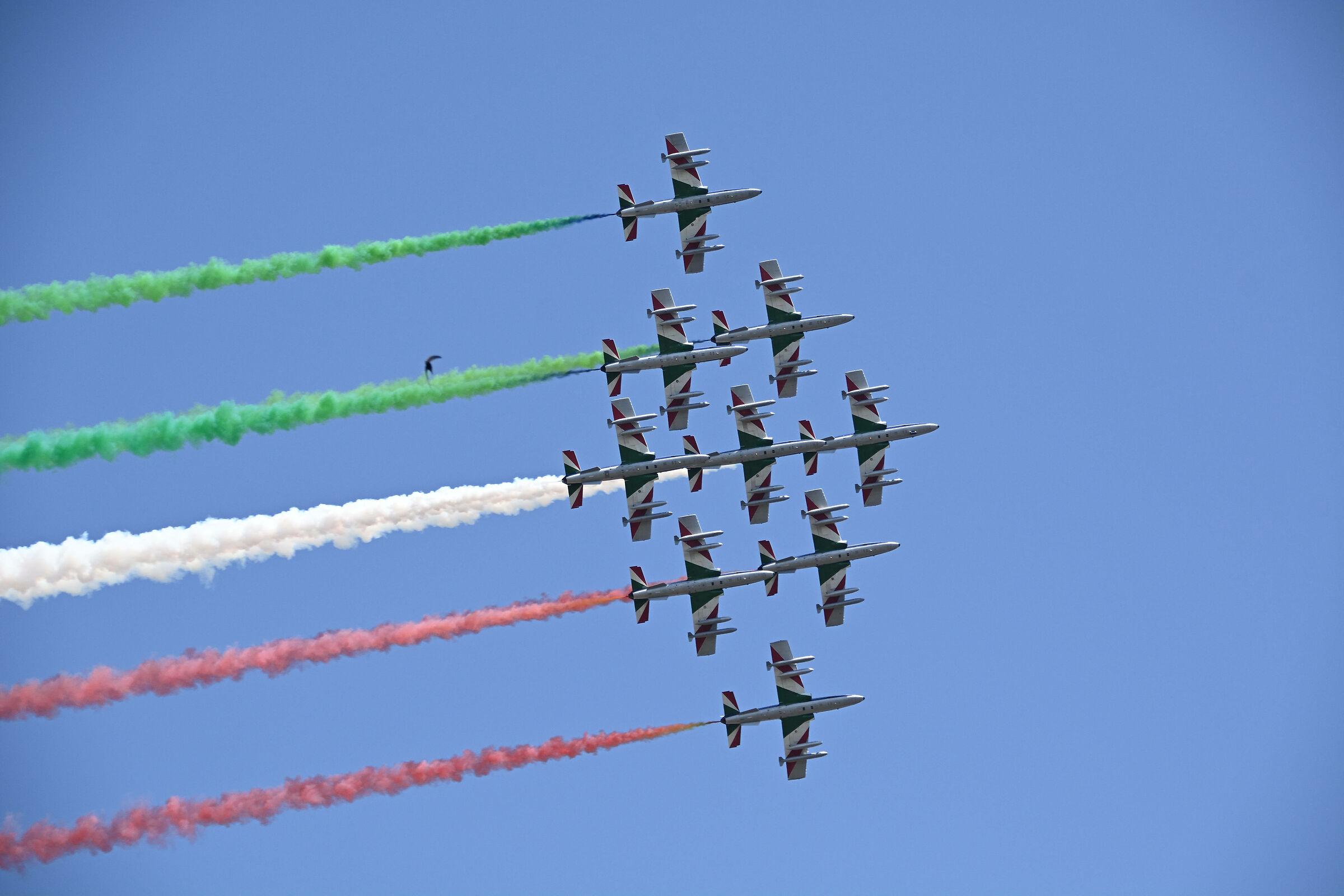 ... rondine togliti ... dobbiamo passare.