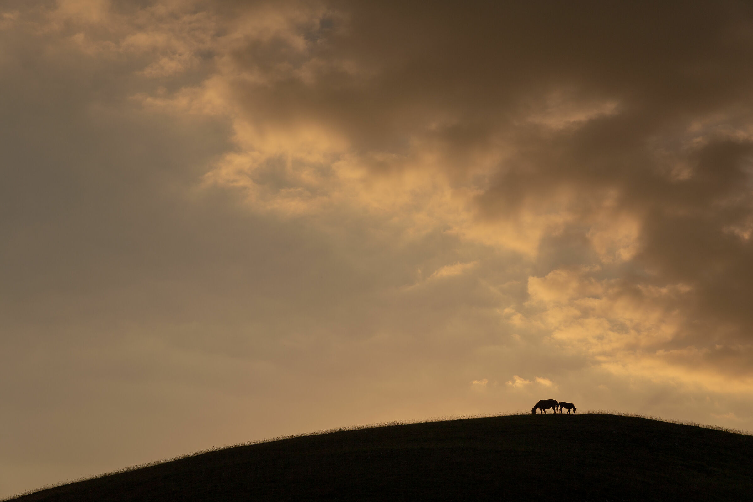 Castelluccio