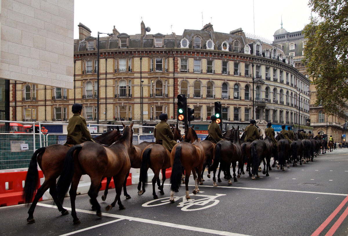 The Queen's Horses