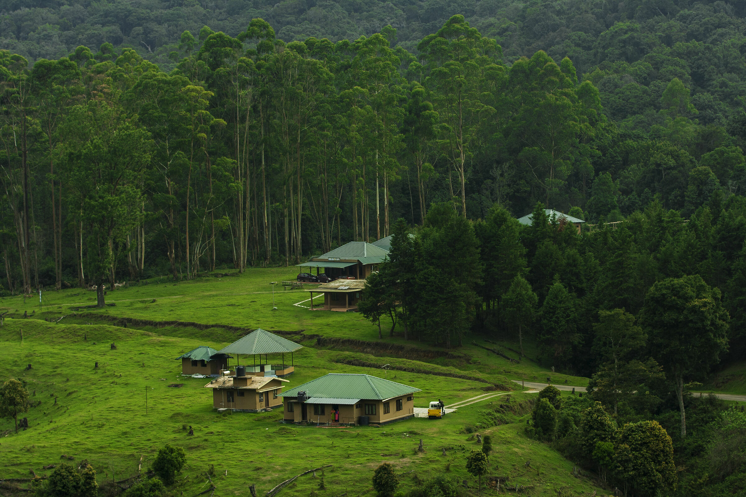 Cottages in the woods