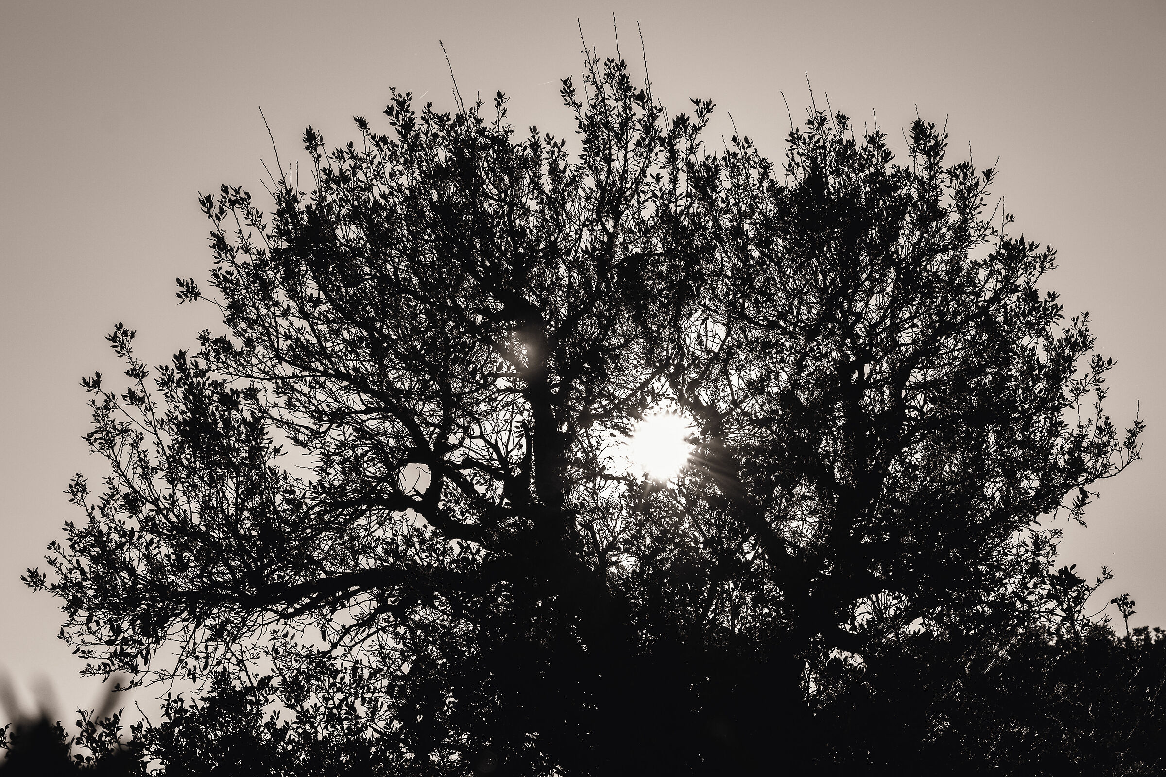 A zonzo per le colline 2