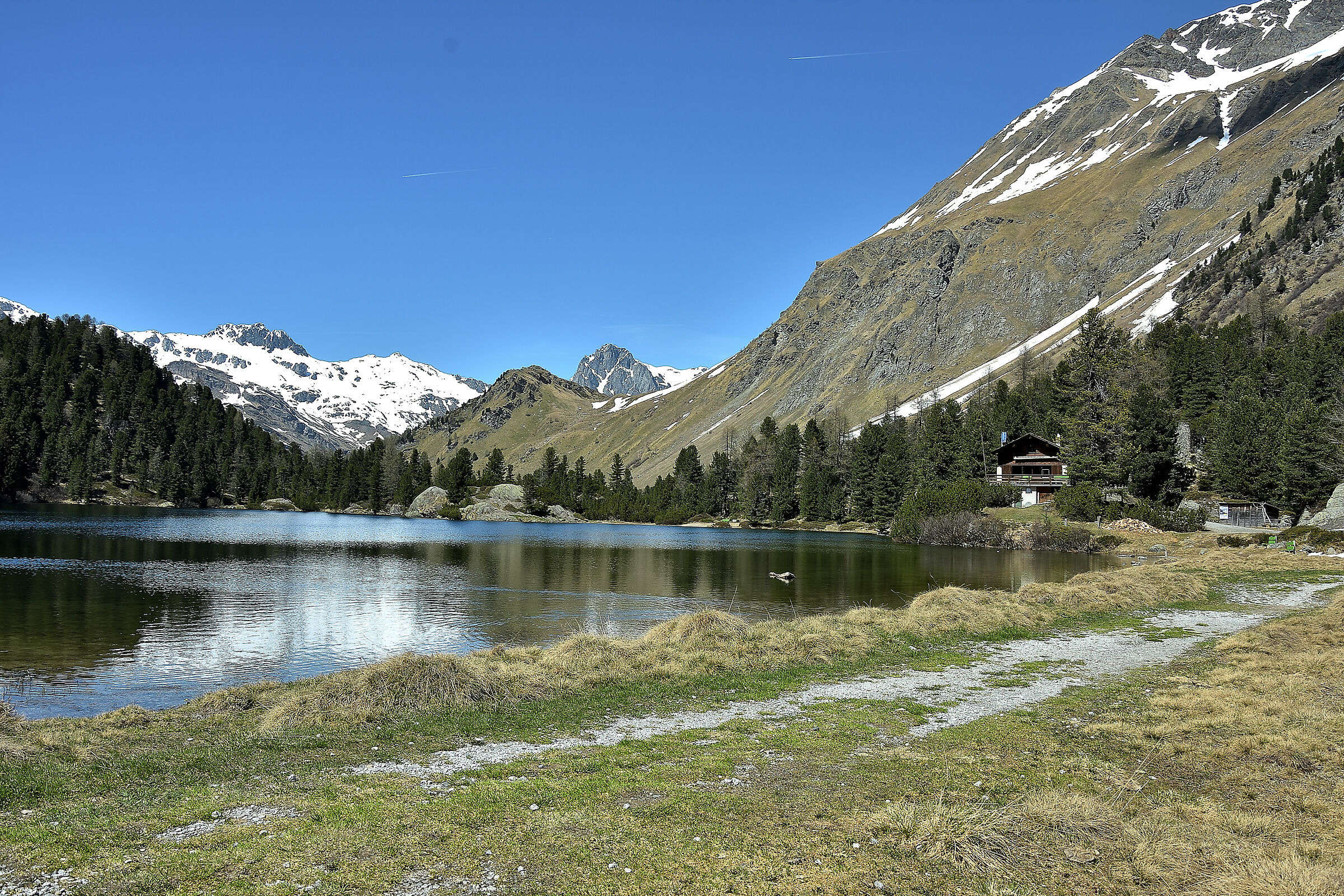 silenzio parla la natura