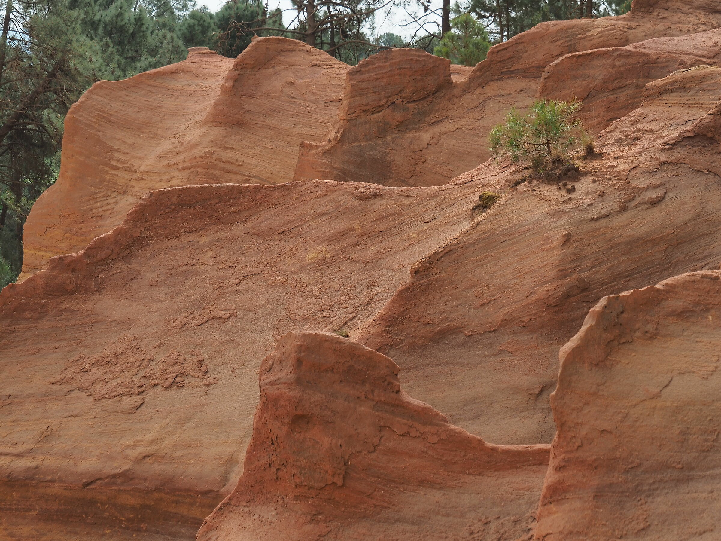 Provencal landscape, not just lavender.