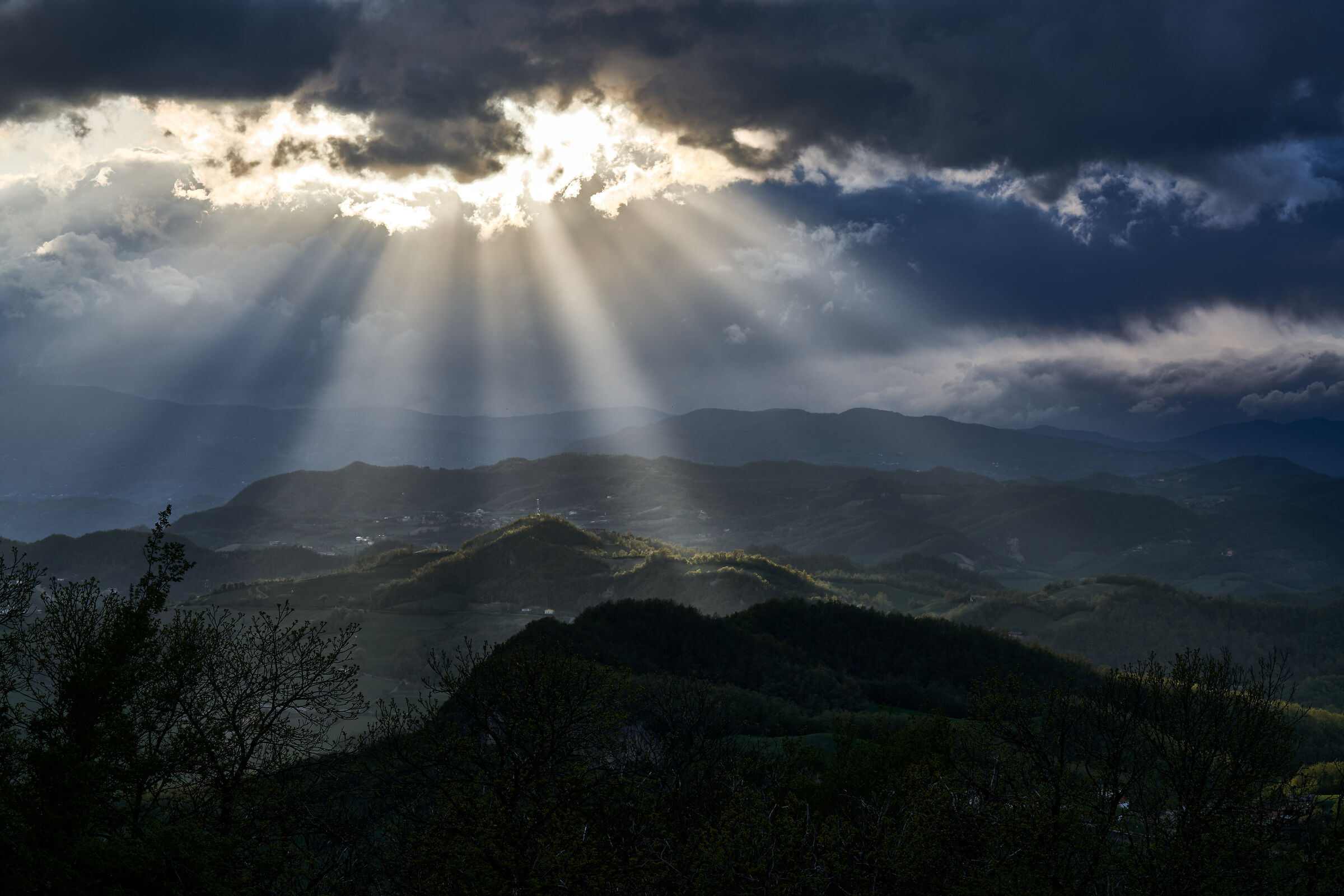 Felina pre-temporalesca