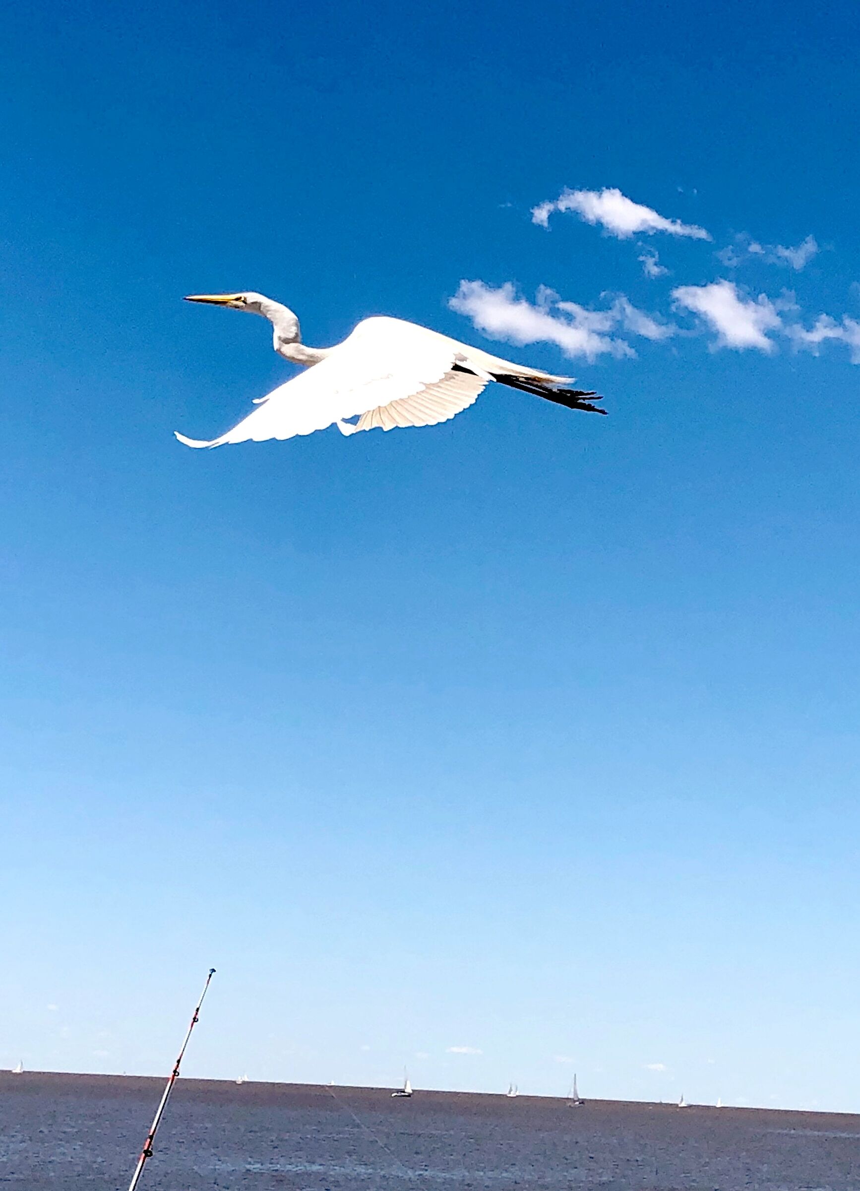 Volando al lado del Aeropuerto