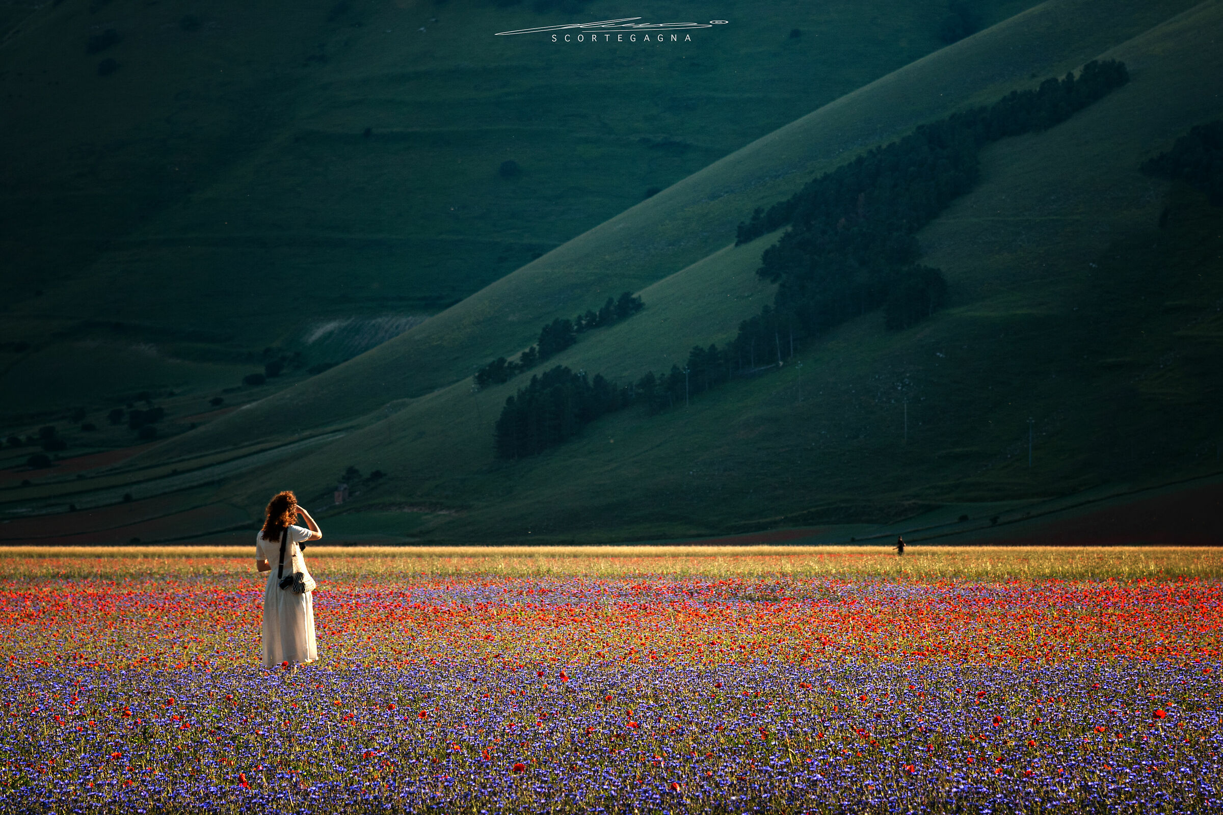 Sunset at Castelluccio July 2018