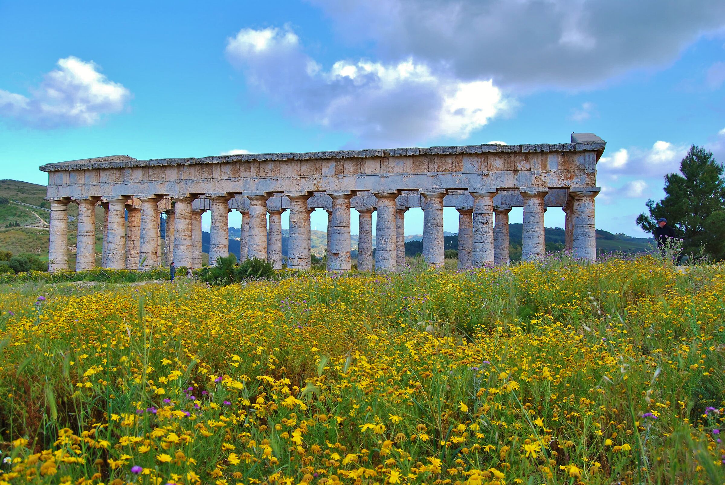 Segesta. 2019