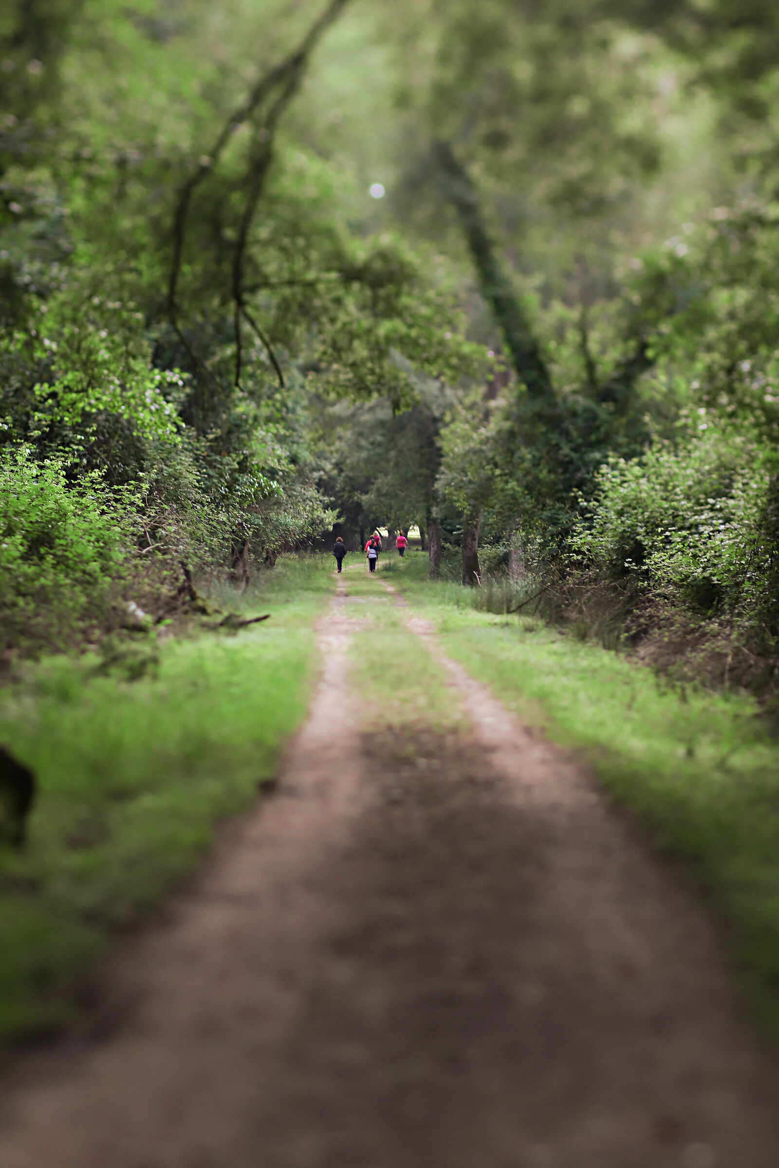 Mini escursionisti a San Rossore