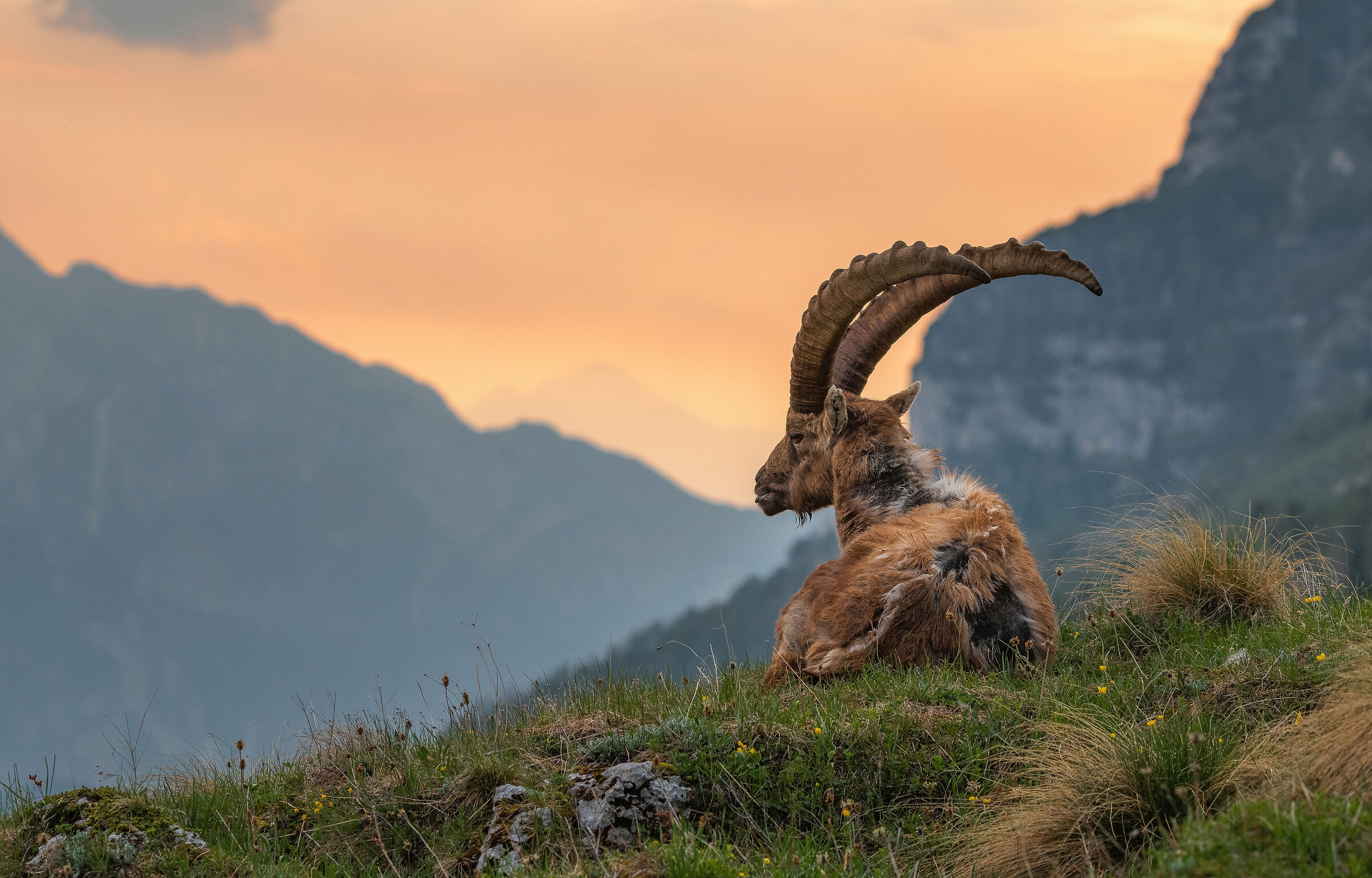 After hard and long winter