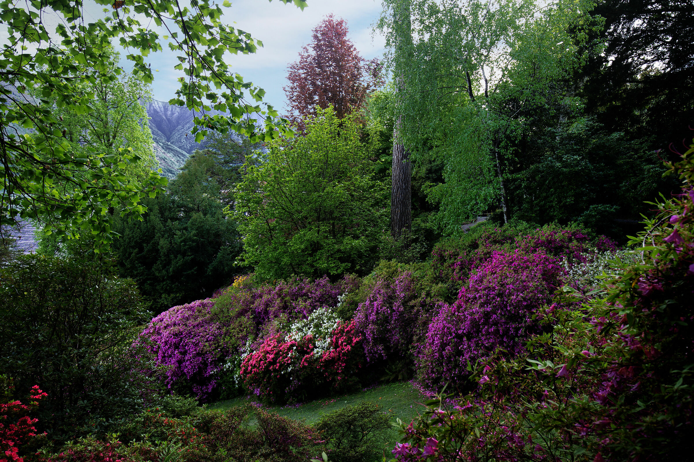 Gardens of Villa Carlotta