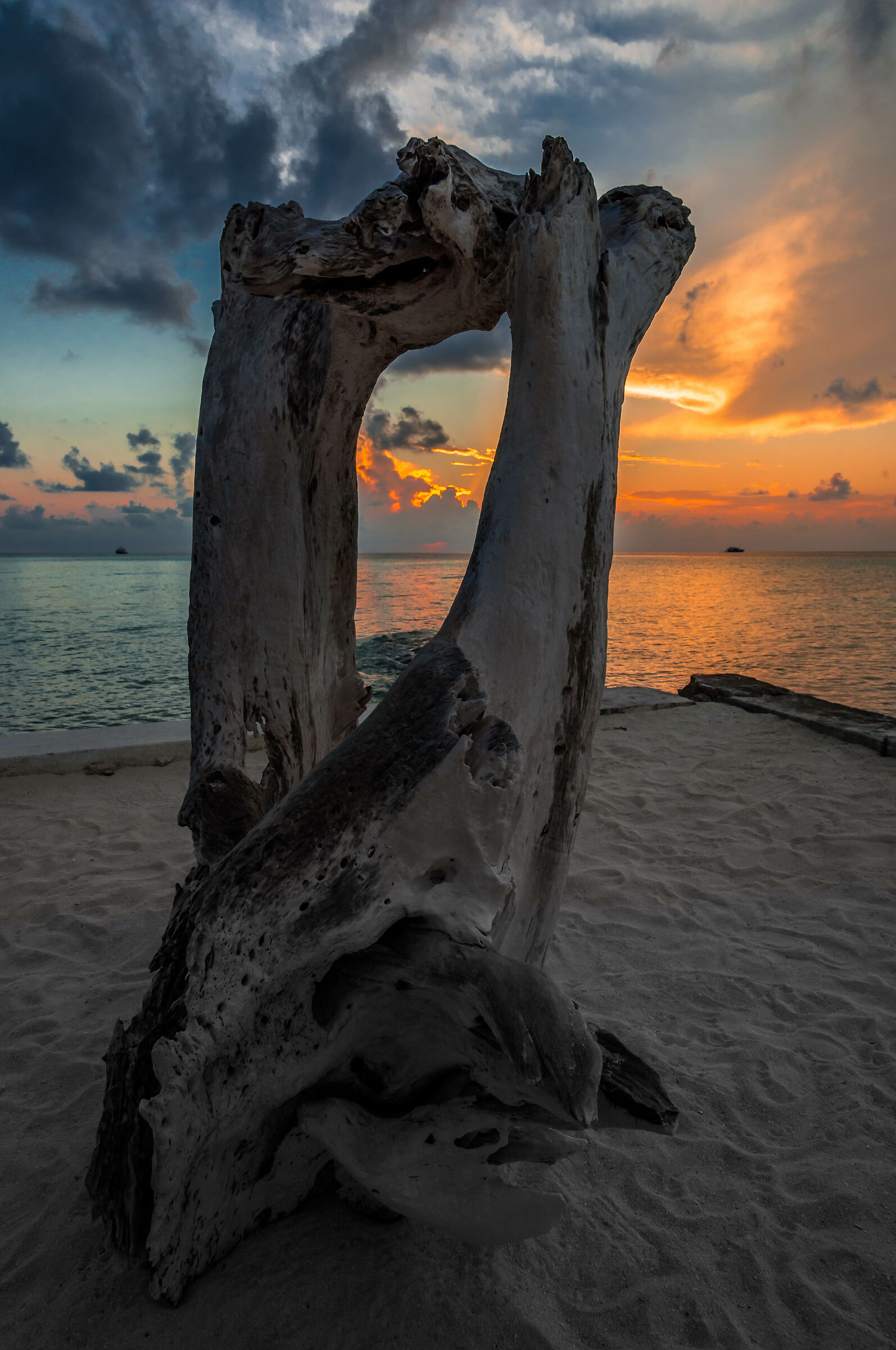 Like bones in the wind