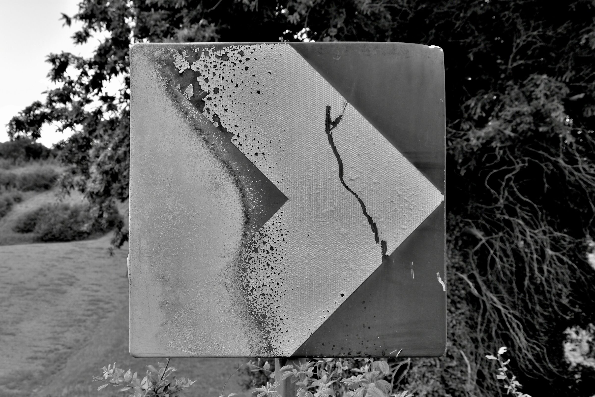 Mi venne incontro e mi indicò la Via