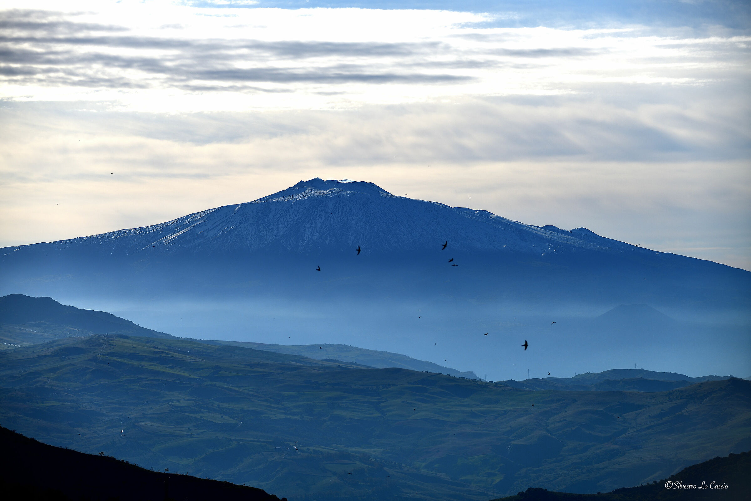 Spring on mount Etna