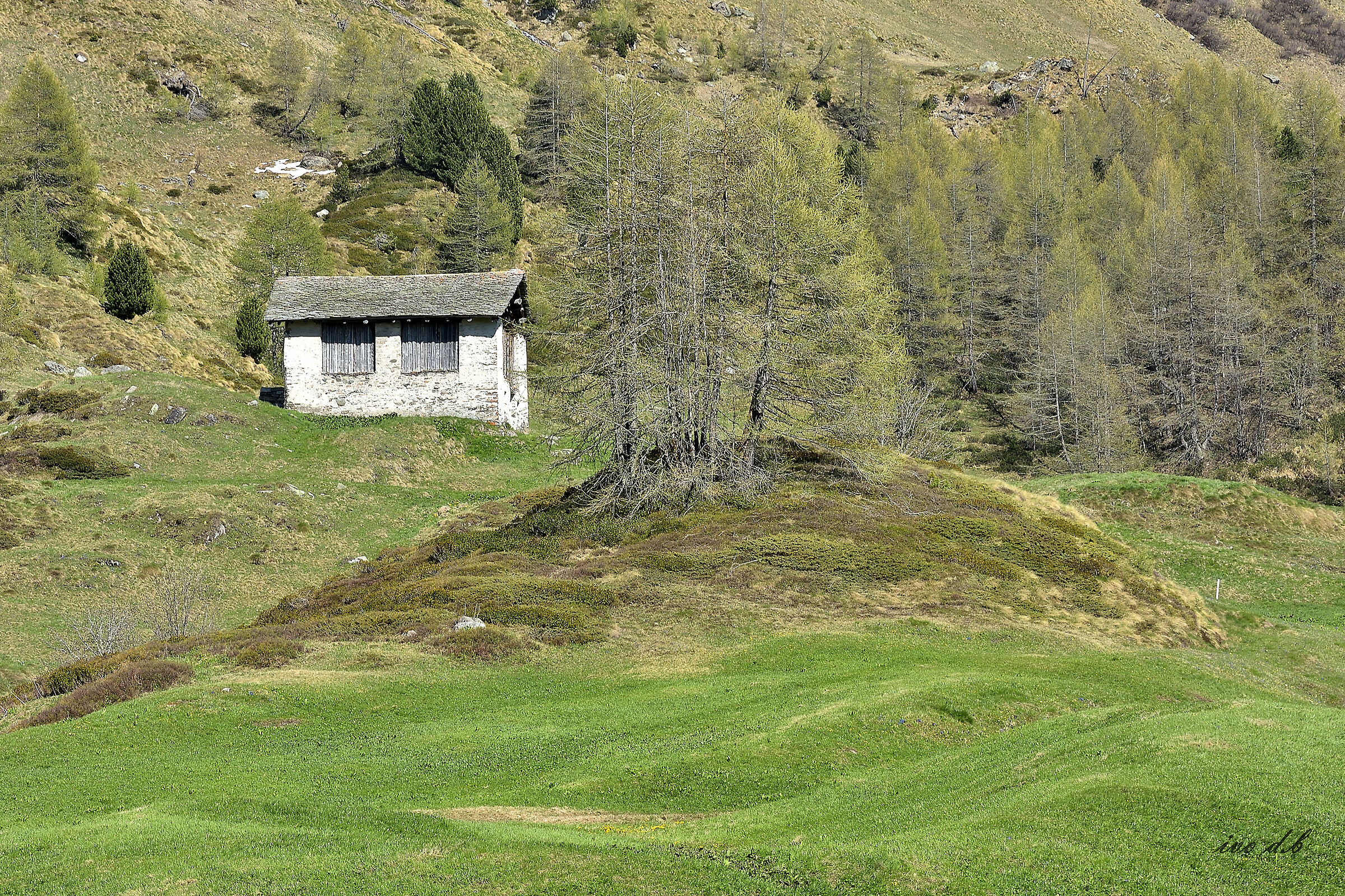 silenzio parla la natura