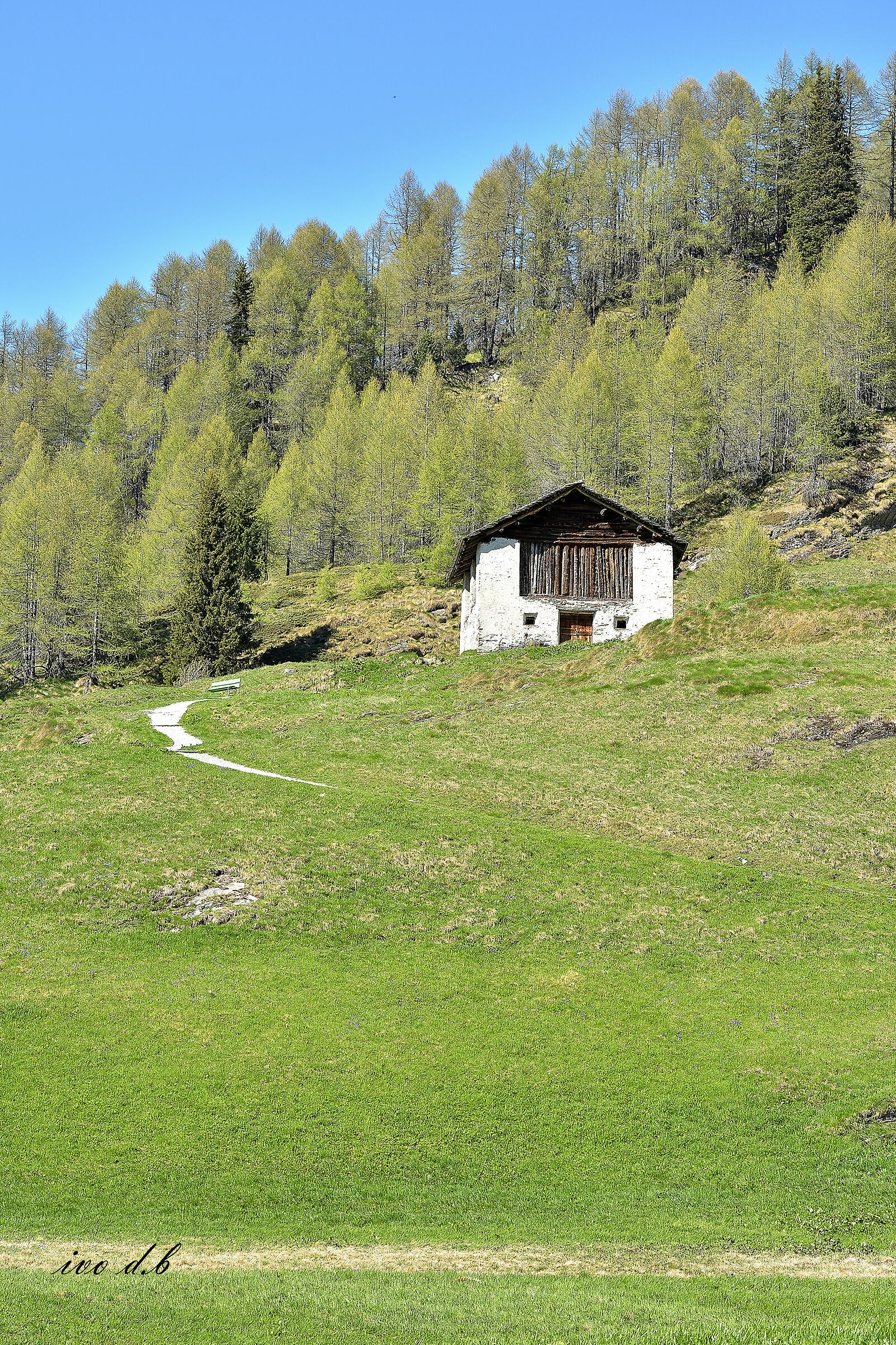 la pace regna sovrana