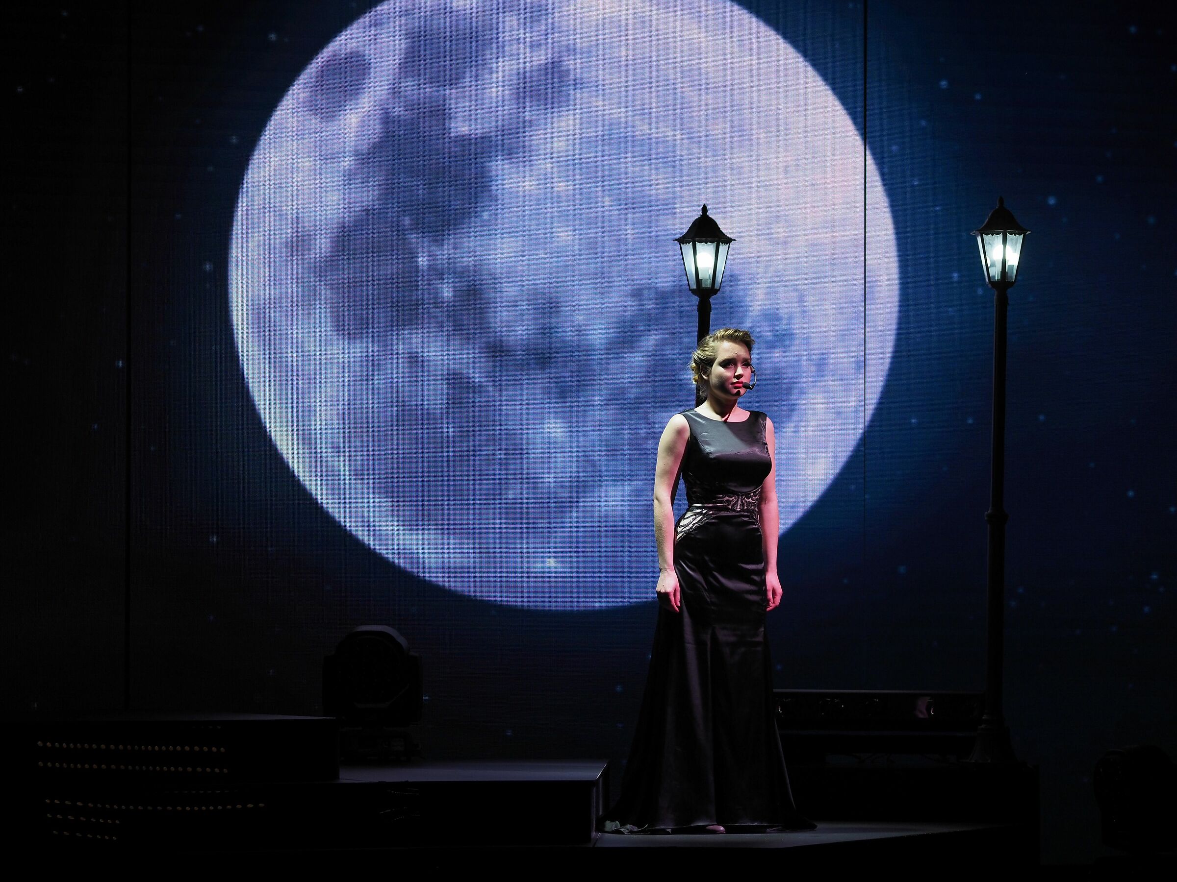 "La Gatta e la Luna"