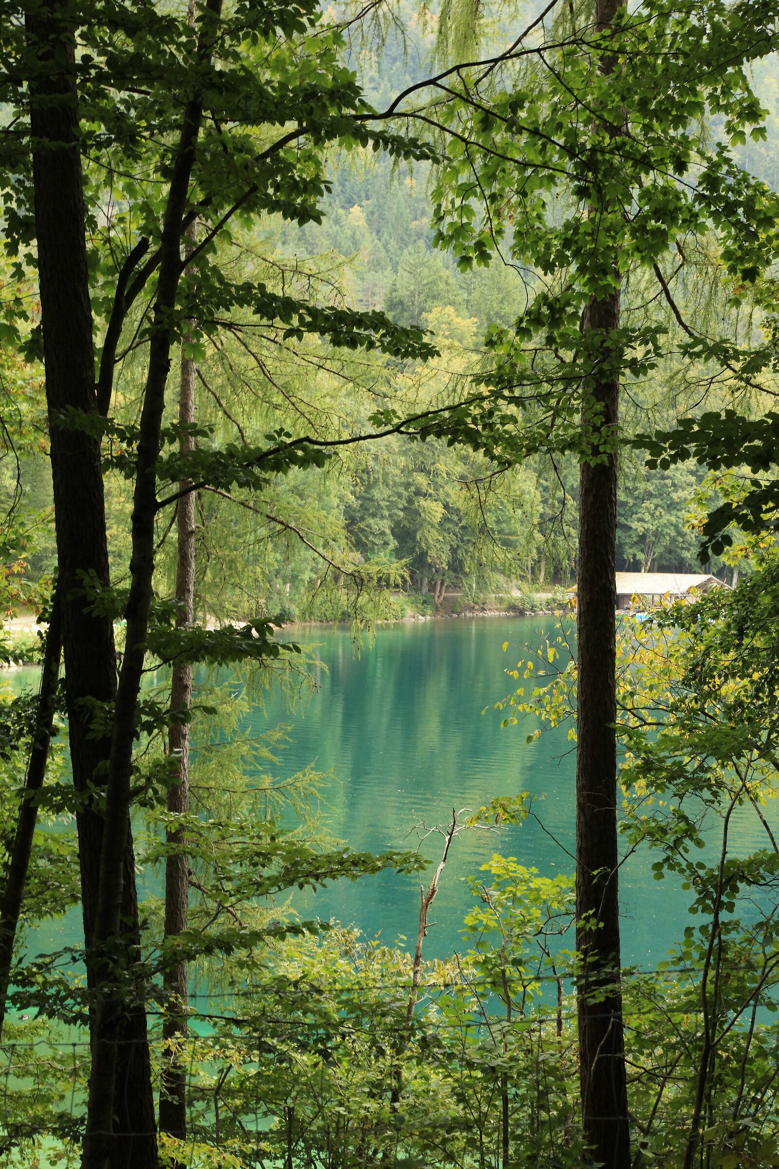 Lake Forggensee Bavaria