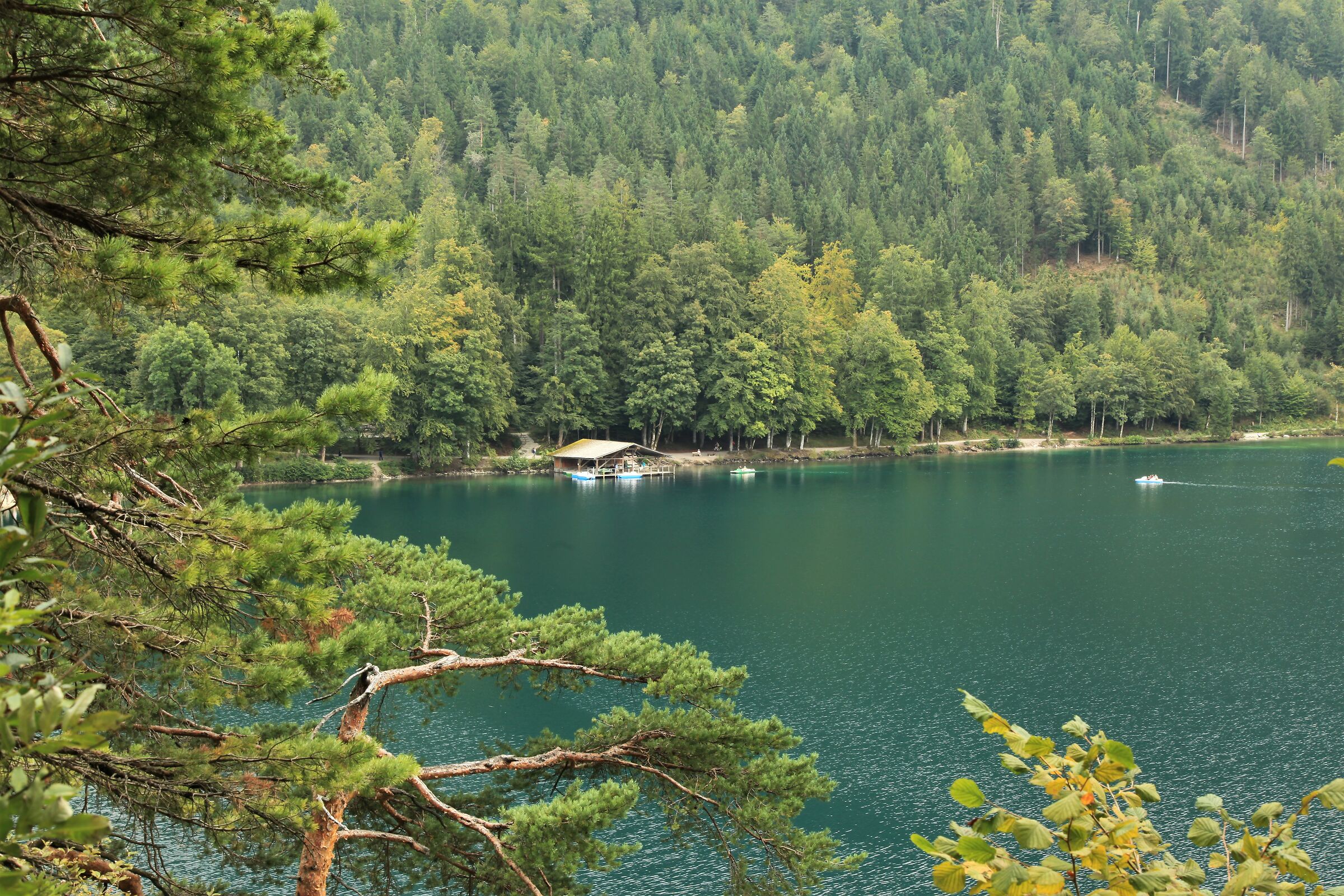 Forggensee Lake Bavaria 2