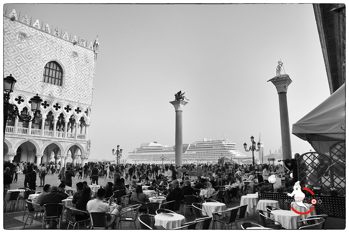 Inevitabile arroganza