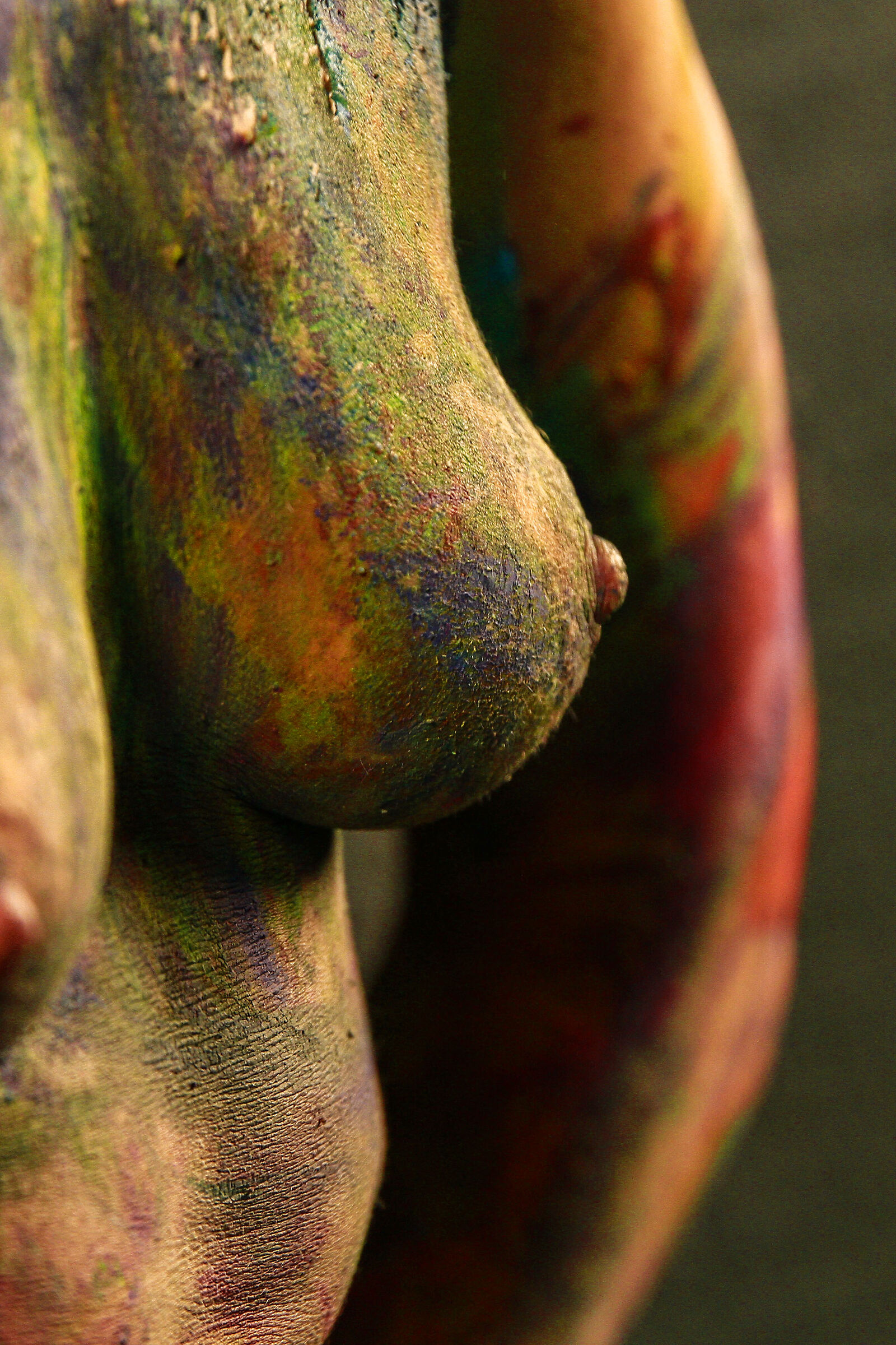 Multicolor "Up Close"