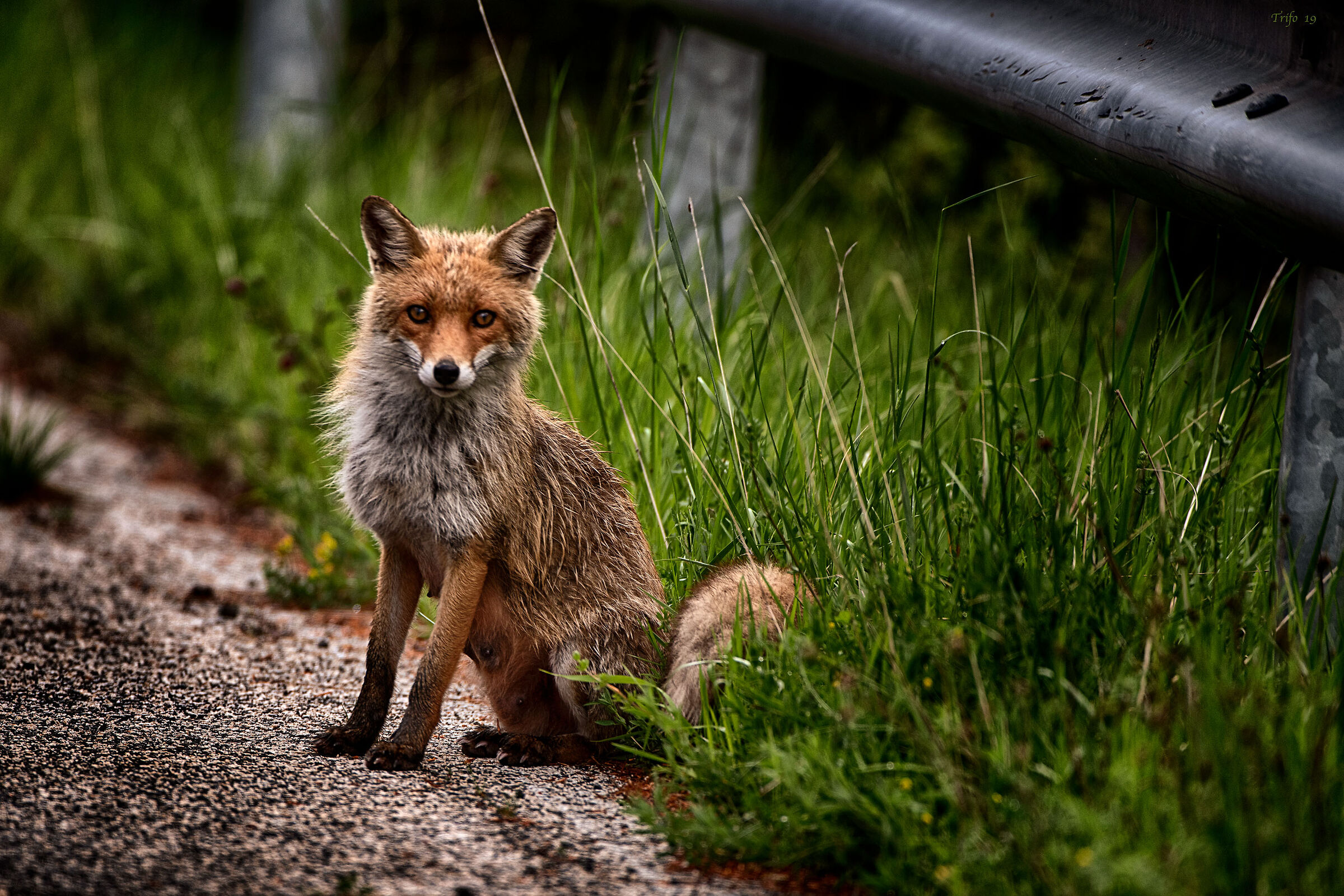 In attesa di un passaggio