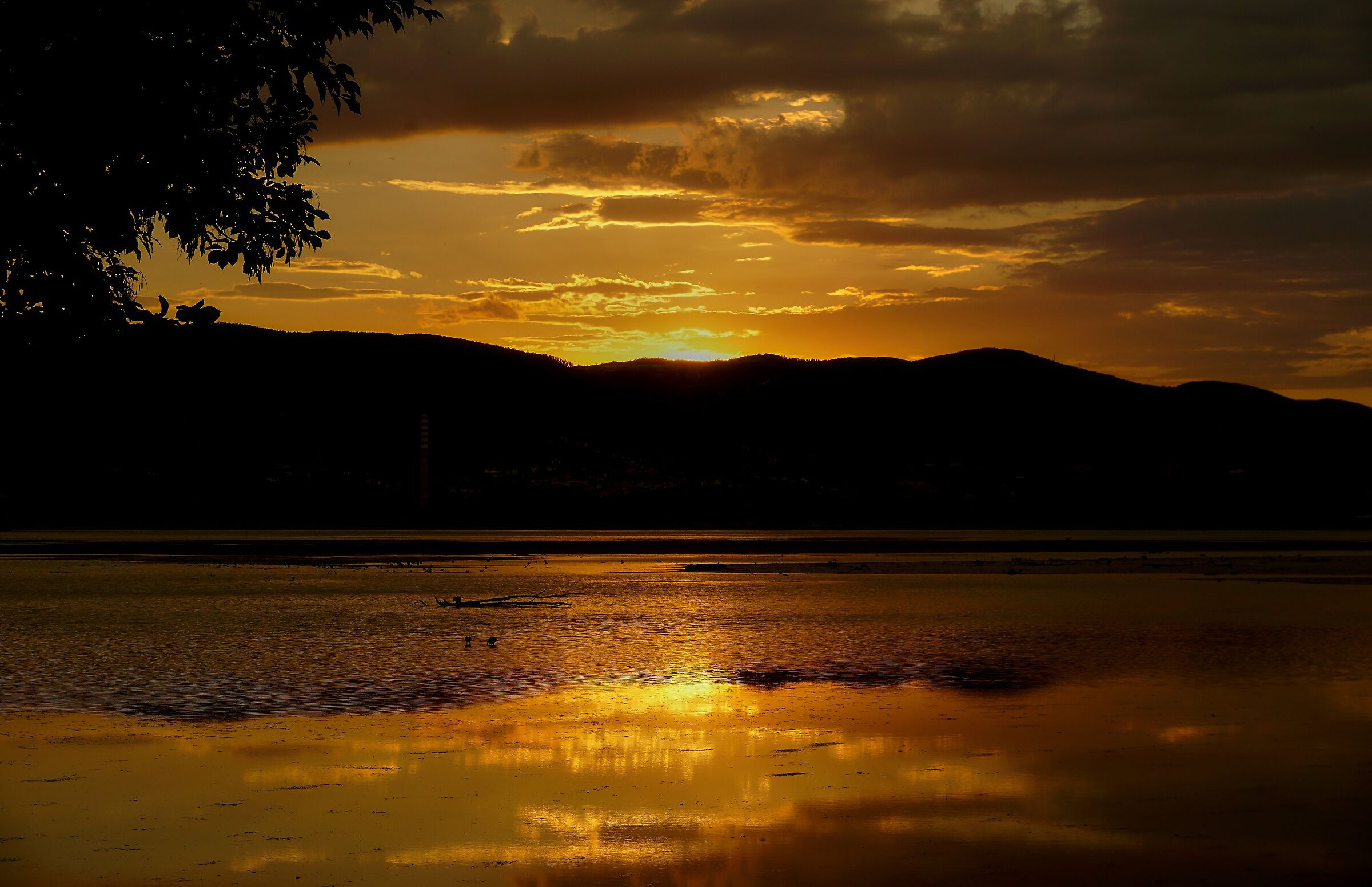 The gold of the evening