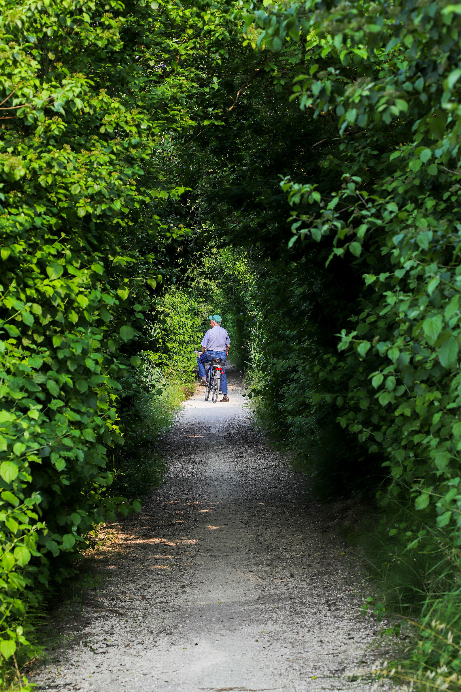 Fermarsi ad Ascoltare la Natura