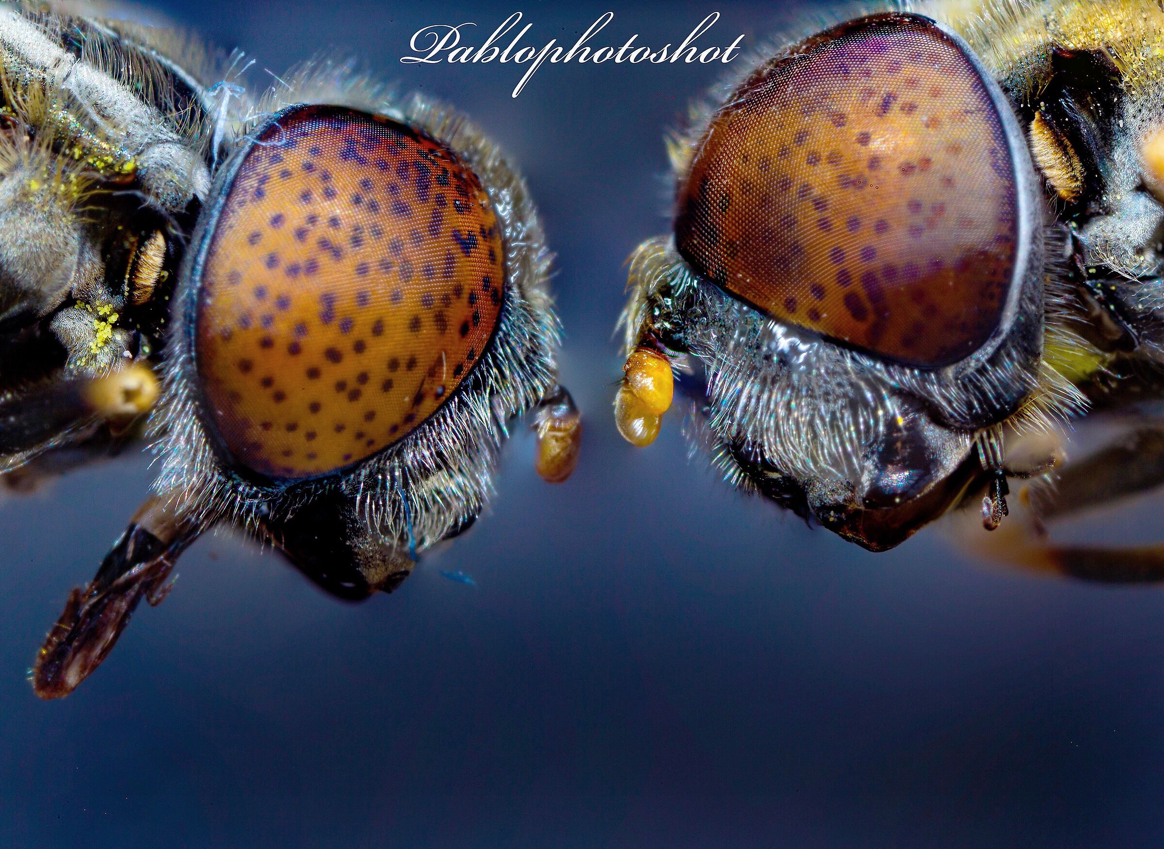 To you are put helmet?