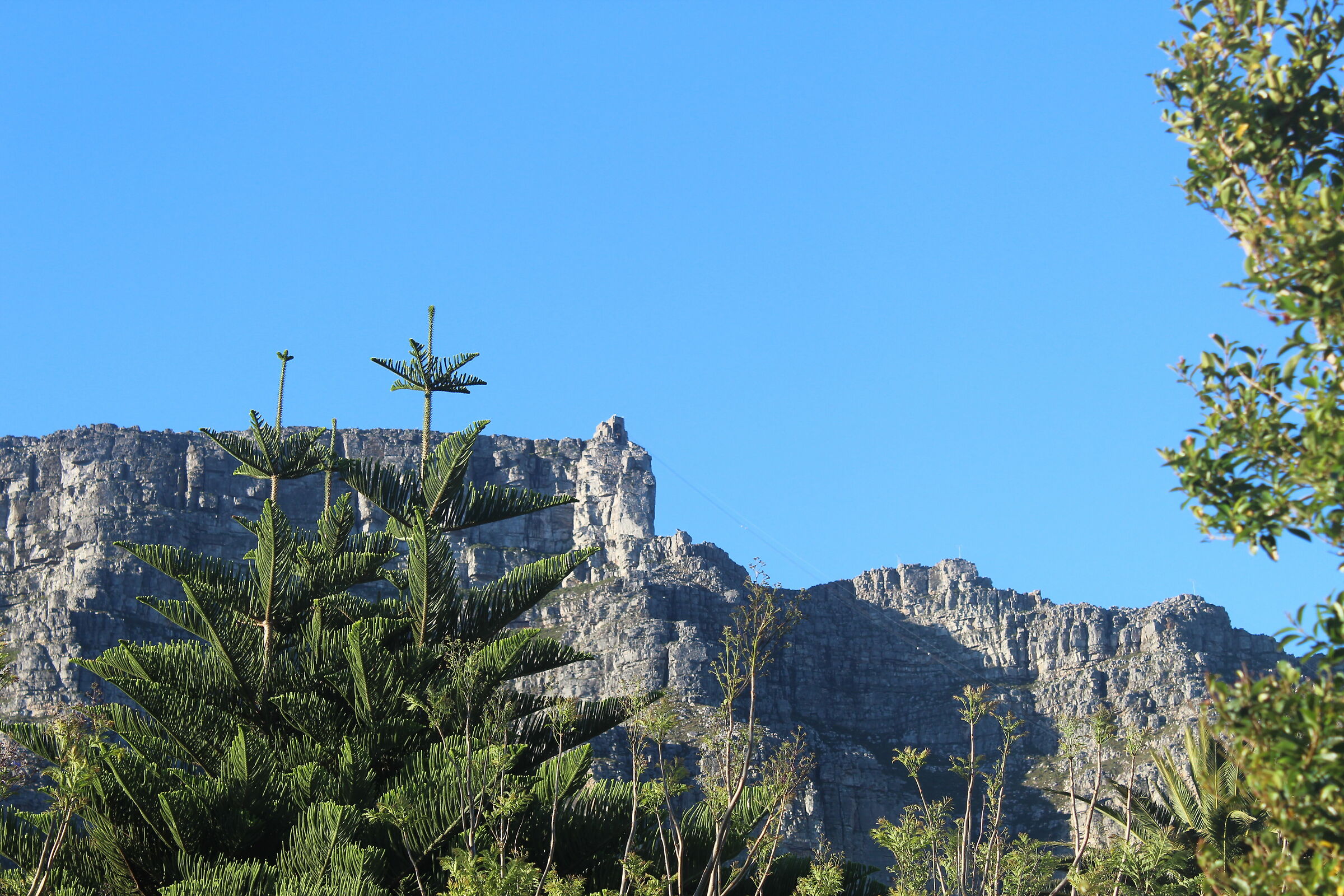 Table Mountain(early morning )