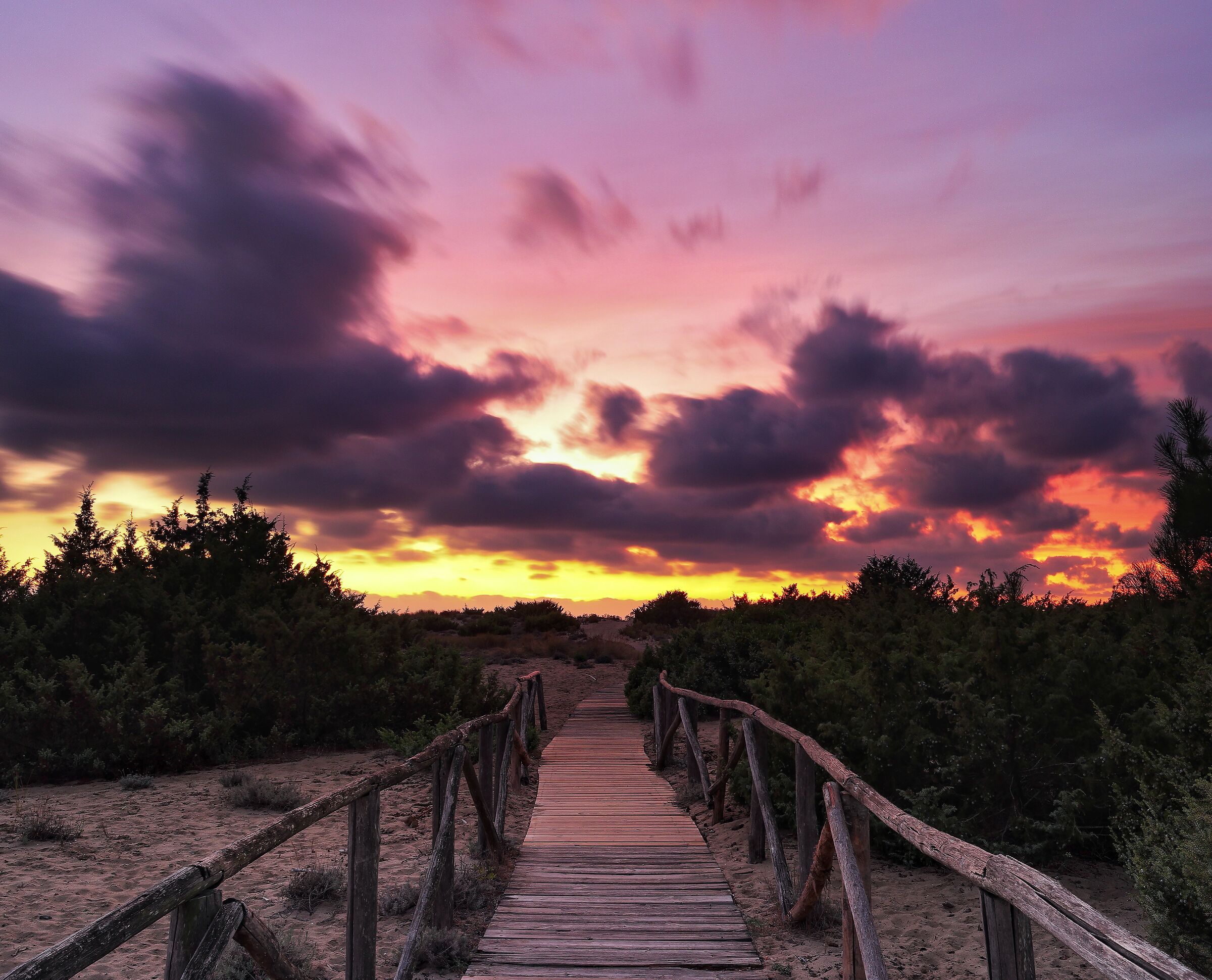 The path to the sunset