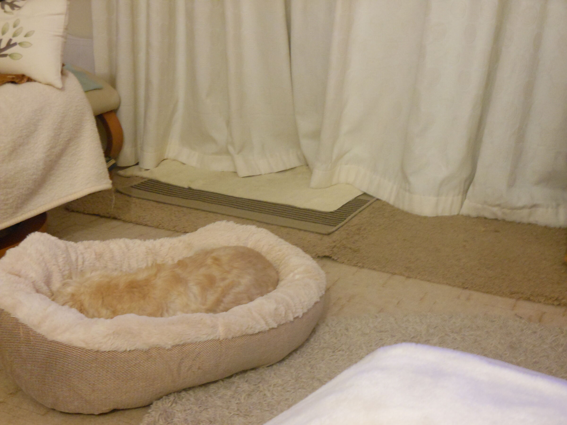 Non puoi vedermi ora