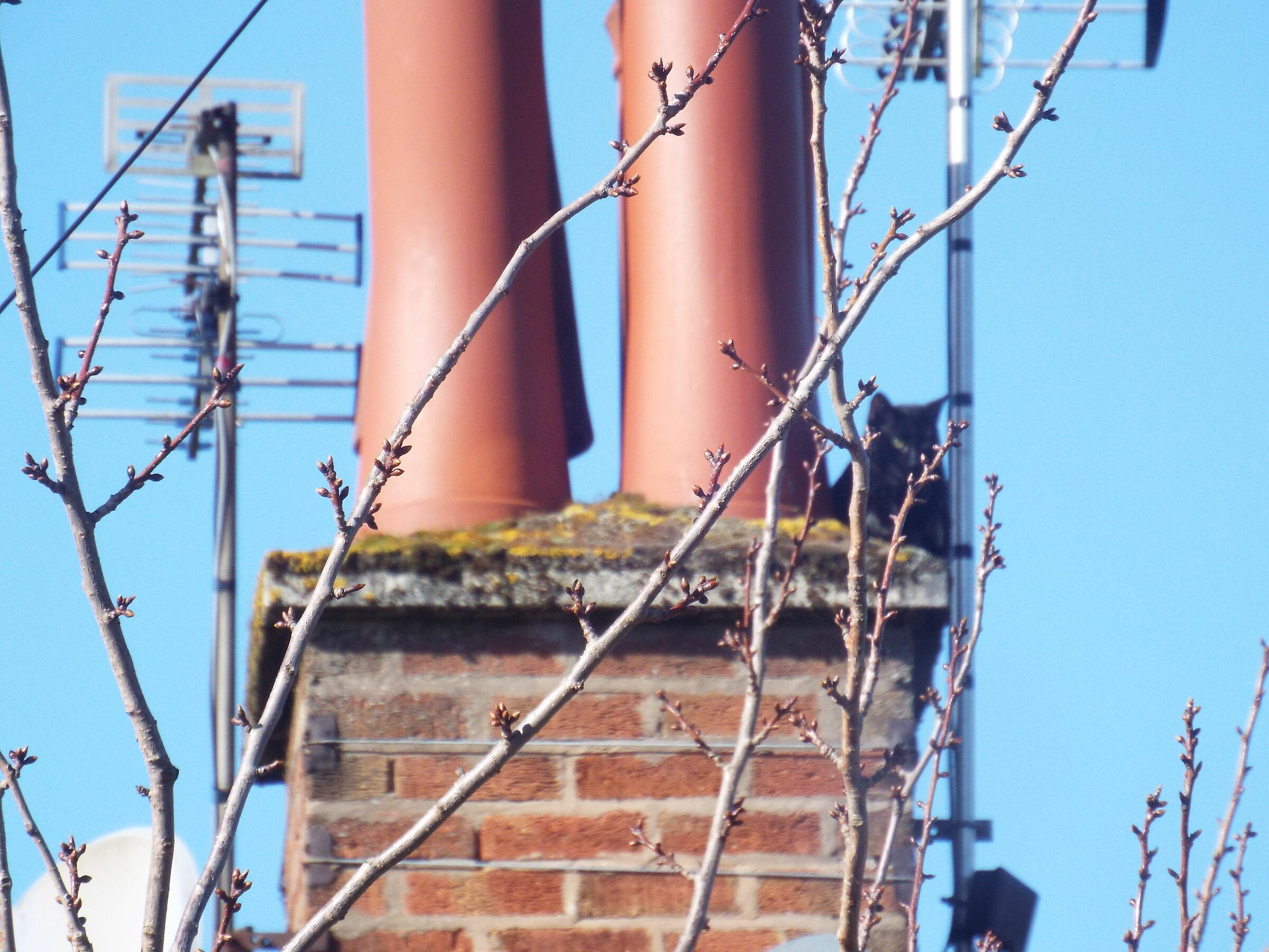 I have a good view from here